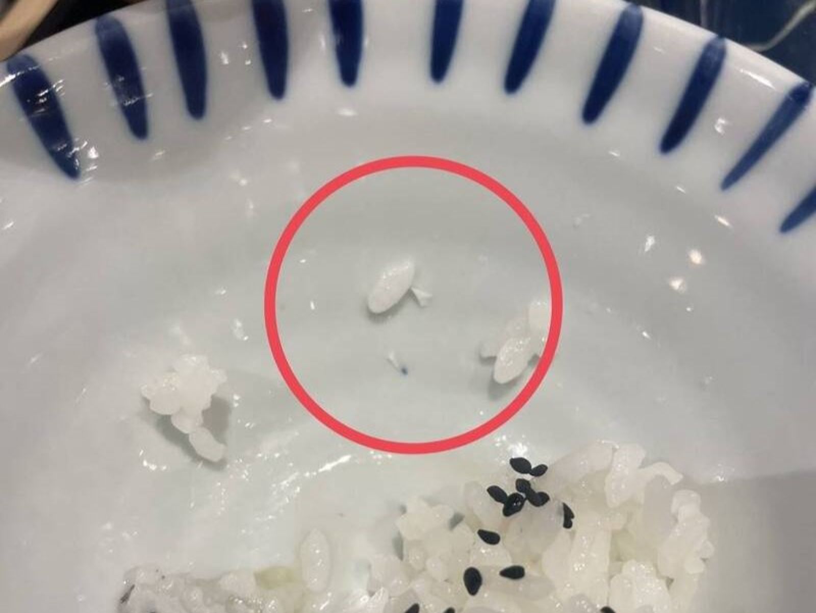 3歲童吃大戶屋頻喊「白飯刺刺的」 媽接手吃雙雙割傷舌頭、上顎!竟吐出尖銳陶瓷碎片