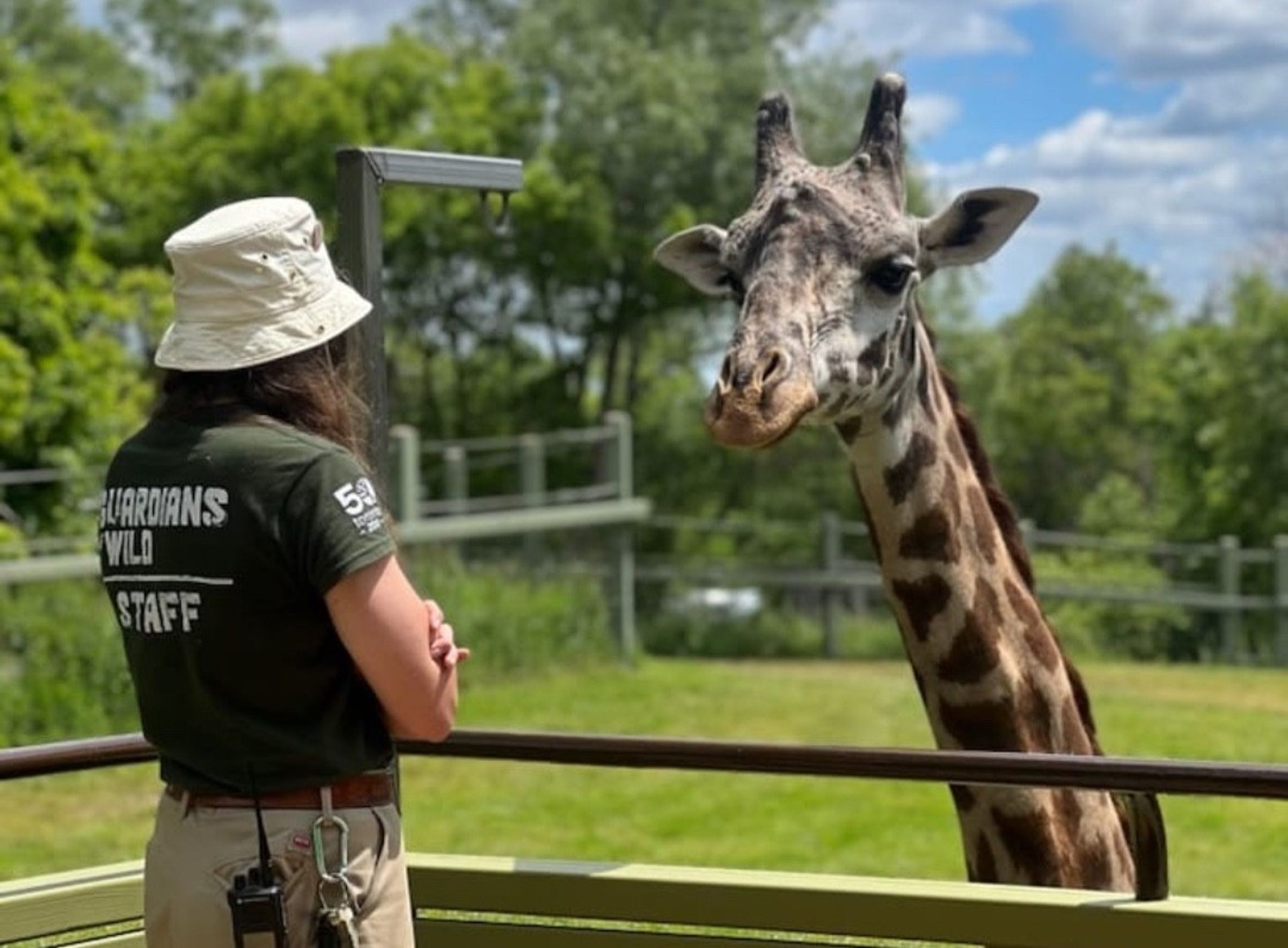 13歲的Kiko在元旦因意外不幸離世。(翻攝The Toronto Zoo 臉書)