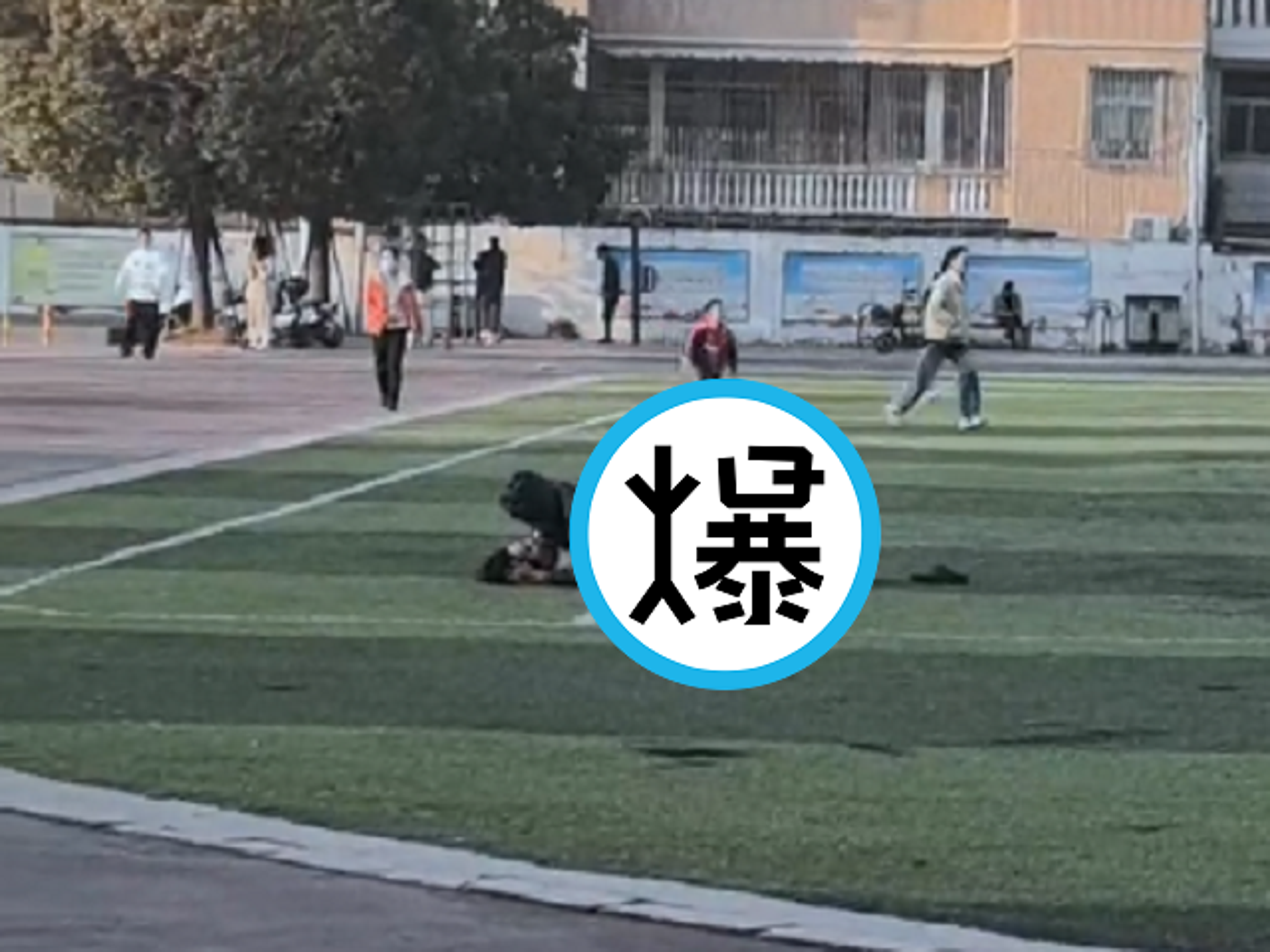 光天化日，小情侶在操場「人體操練」！全校同學看傻眼。（翻自《吃瓜網》）