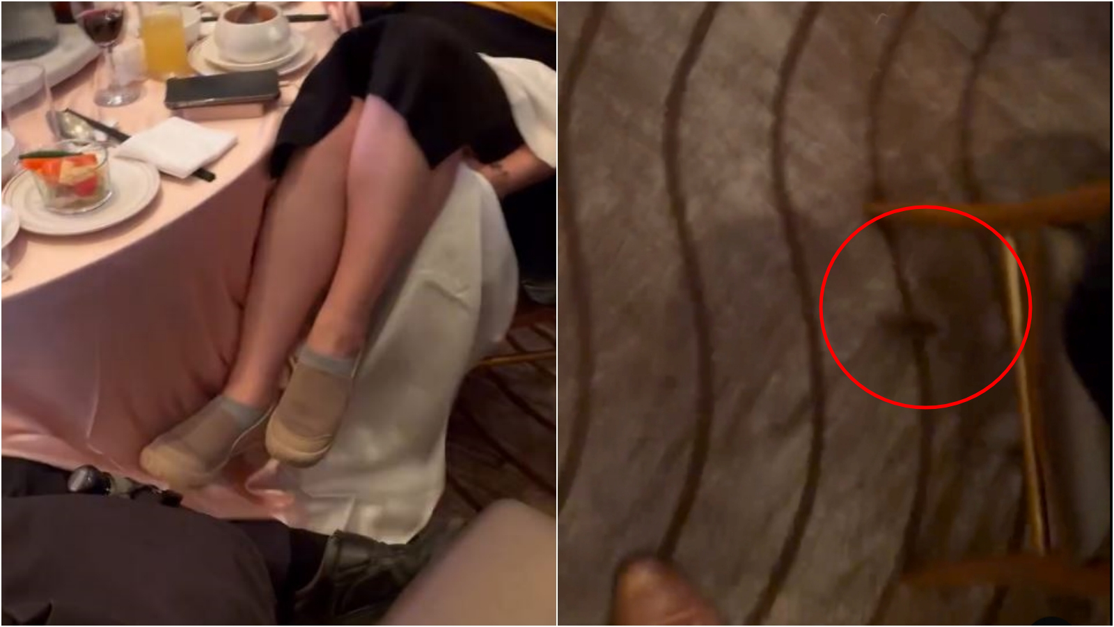 台北市中山區「大直典華」婚宴會館有老鼠狂奔，賓客嚇到都抬起腳。（Threads@chan_yu_chen 授權提供）