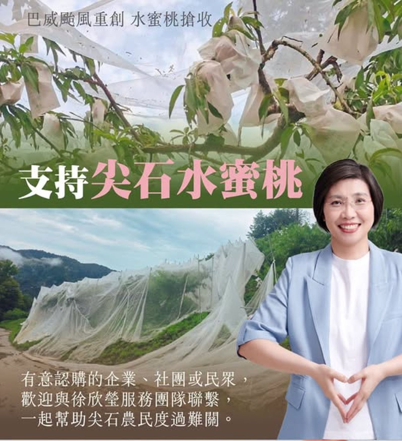 巴威颱風重創尖石水蜜桃 徐欣瑩、楊文科、曾國大發起緊急認購