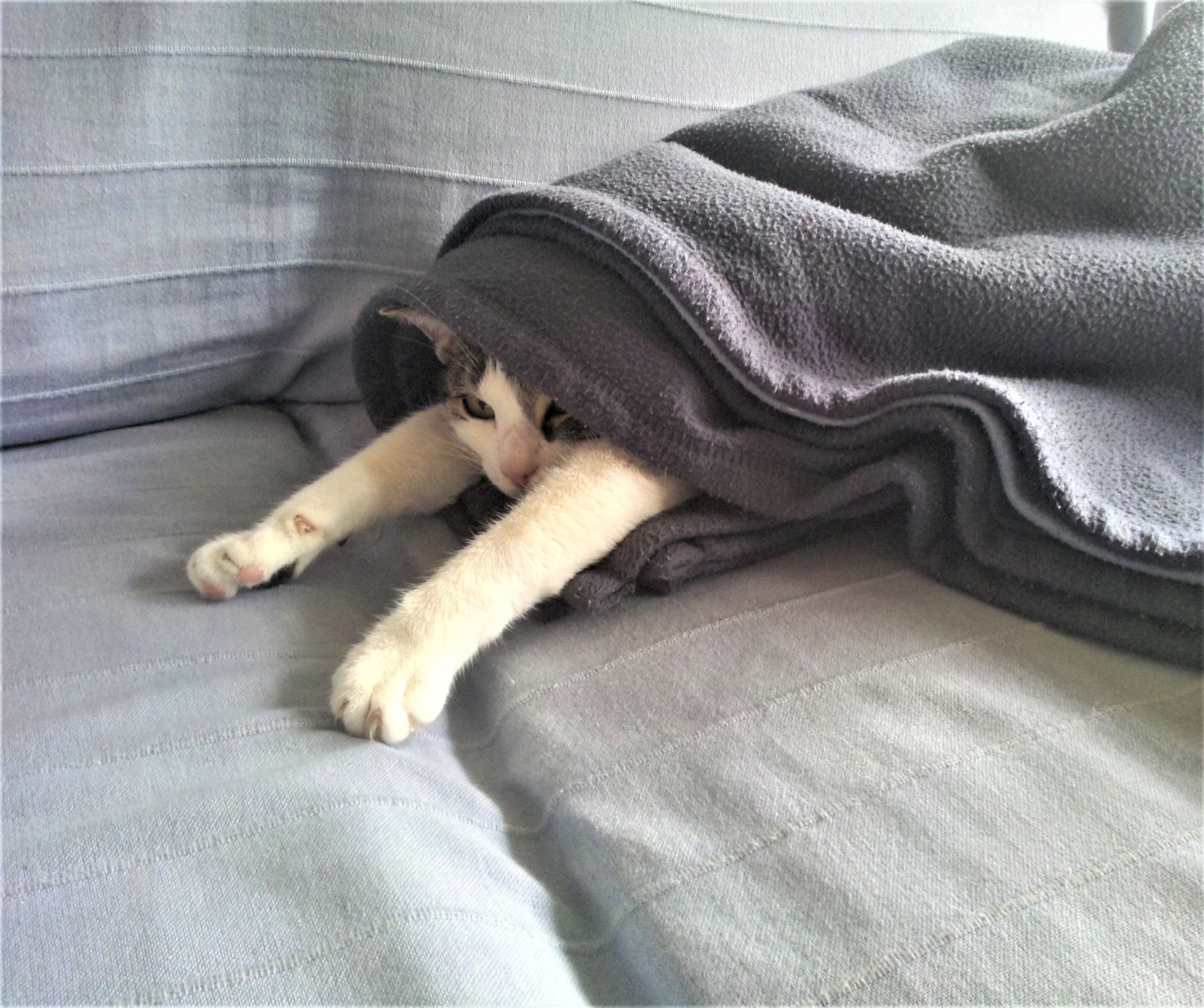 天冷蓋被的順序影響保暖效果。（取自PhotoAC）