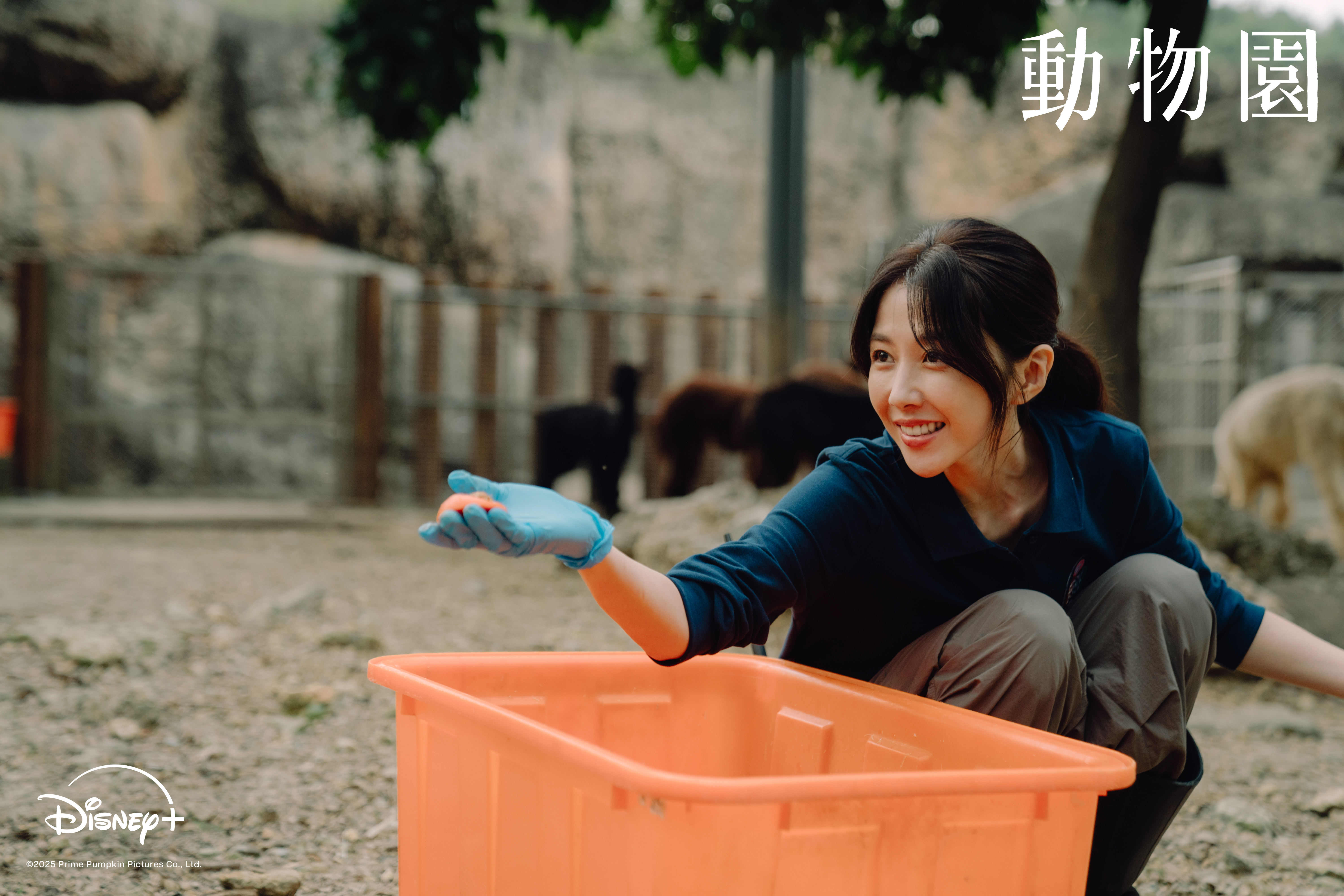邵雨薇笑認自己太愛猴子，拍攝時炙熱的眼神反而嚇退動物。（Disney+ 提供）