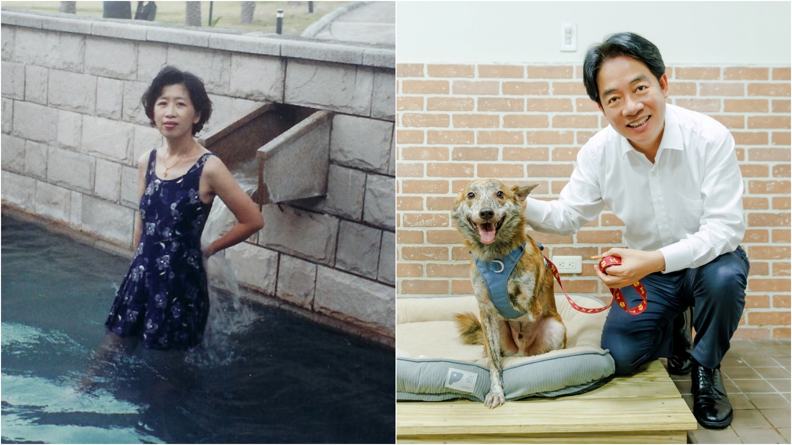 陳佩琪諷刺賴清德愛犬是殘障的三腳狗，引來網友不滿。（翻攝陳佩琪、賴清德臉書）