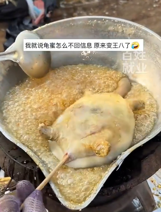 攤販將鱉蒸熟至軟嫩或油炸,再泡進糖漿製成糖葫蘆。(翻攝微博)