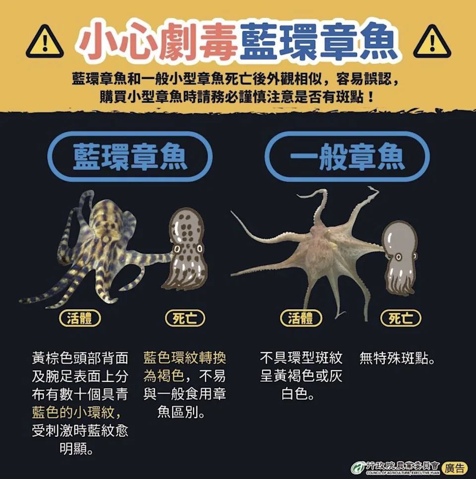 河豚毒素高溫也殺不死，一旦中毒恐致命。（農業部提供）