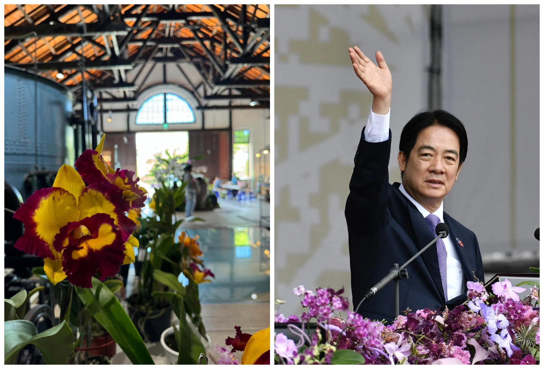 「賴清德蘭」（左圖）已經搶在國慶日前盛開。（翻攝南山上花園水道博物館臉書、本刊資料照）