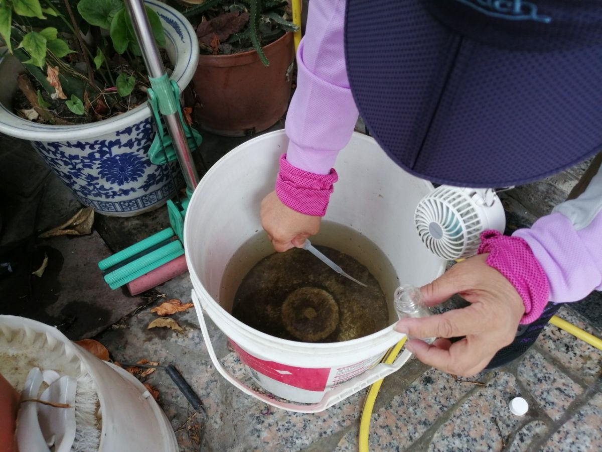 台南市累積登革熱11例，衛生局前往確診者住處周遭進行病媒蚊密度調查。（台南市衛生局提供）