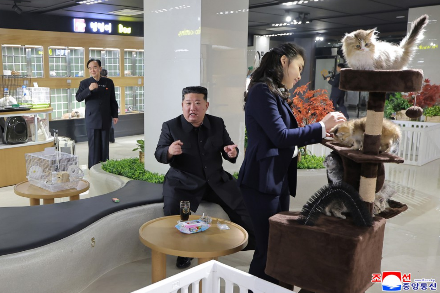 金正恩說話時，金主愛正在開心摸貓。（翻攝朝中社）