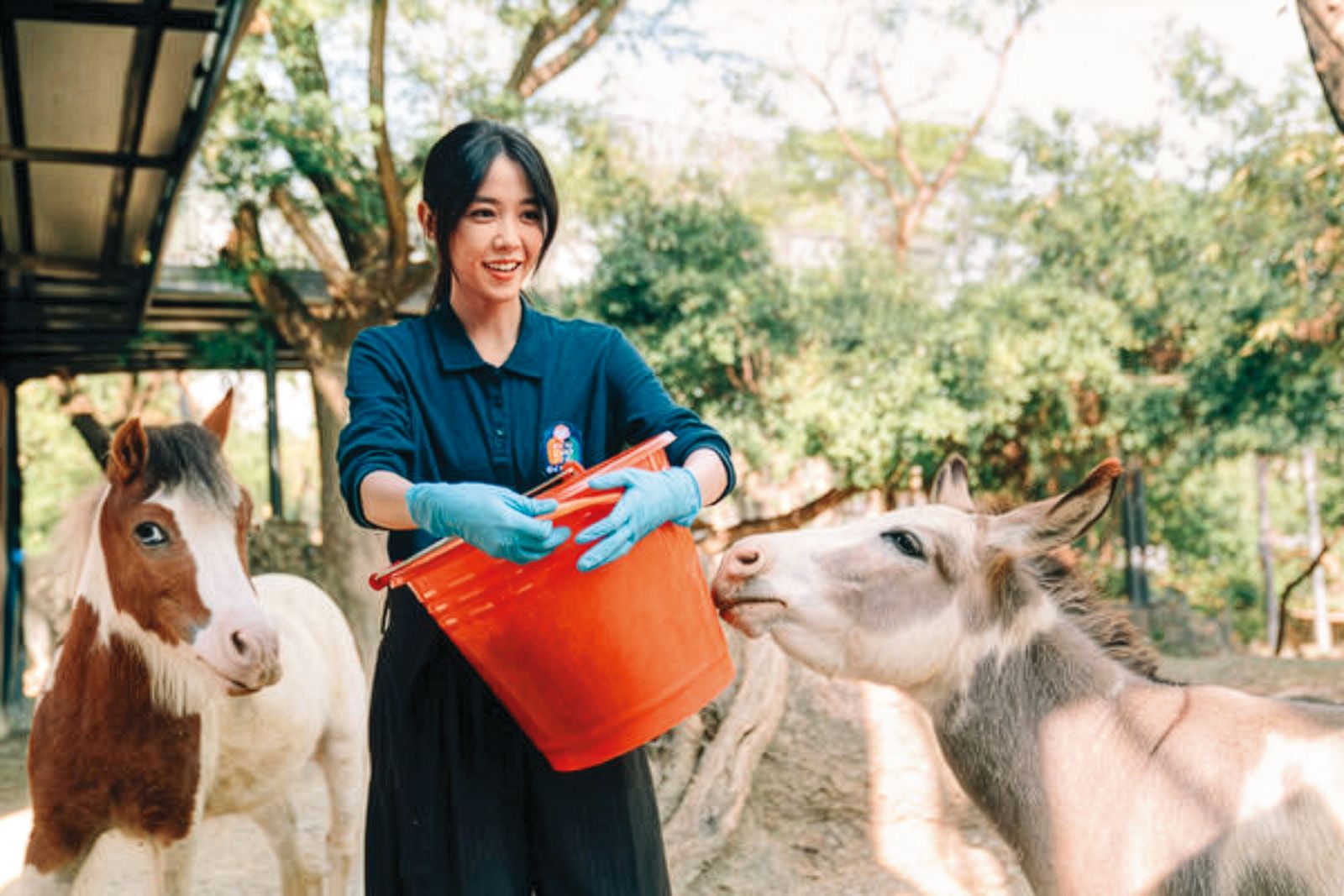 邵雨薇將在電影中飾演越南新娘，被視為祕密彩蛋
