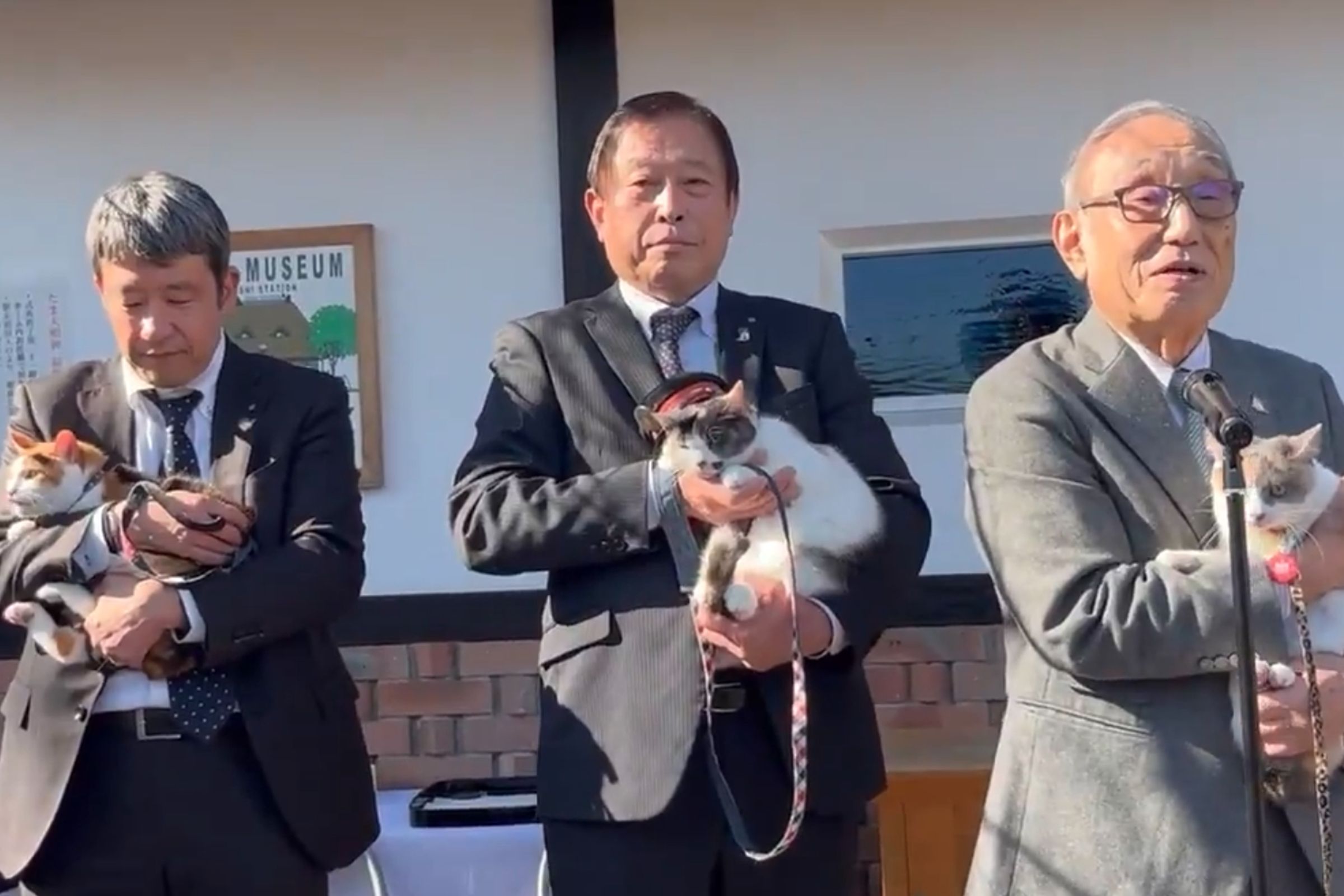 超人氣三花貓「四代玉」(よんたま)正式接下任命書,成為第三代貓站長。(翻攝自X)