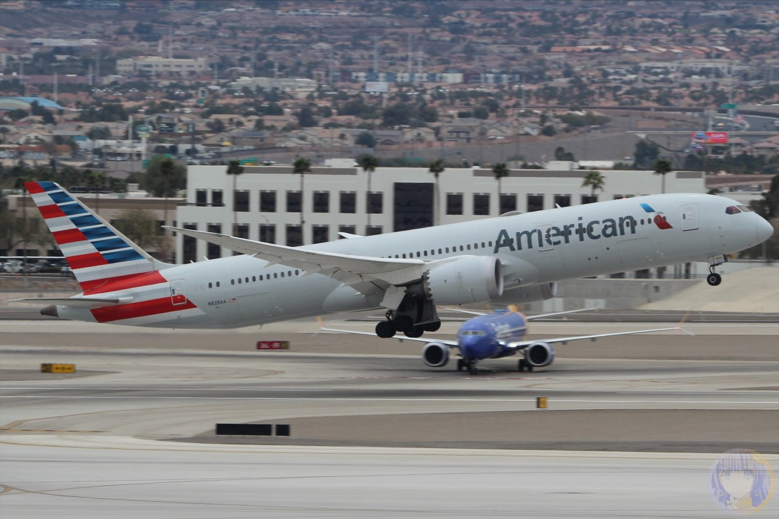 一名女CEO尼爾艾爾雪佛搭乘美國航空時，目睹鄰座男乘客手搓下體長達一小時。（@samtheeairplane）