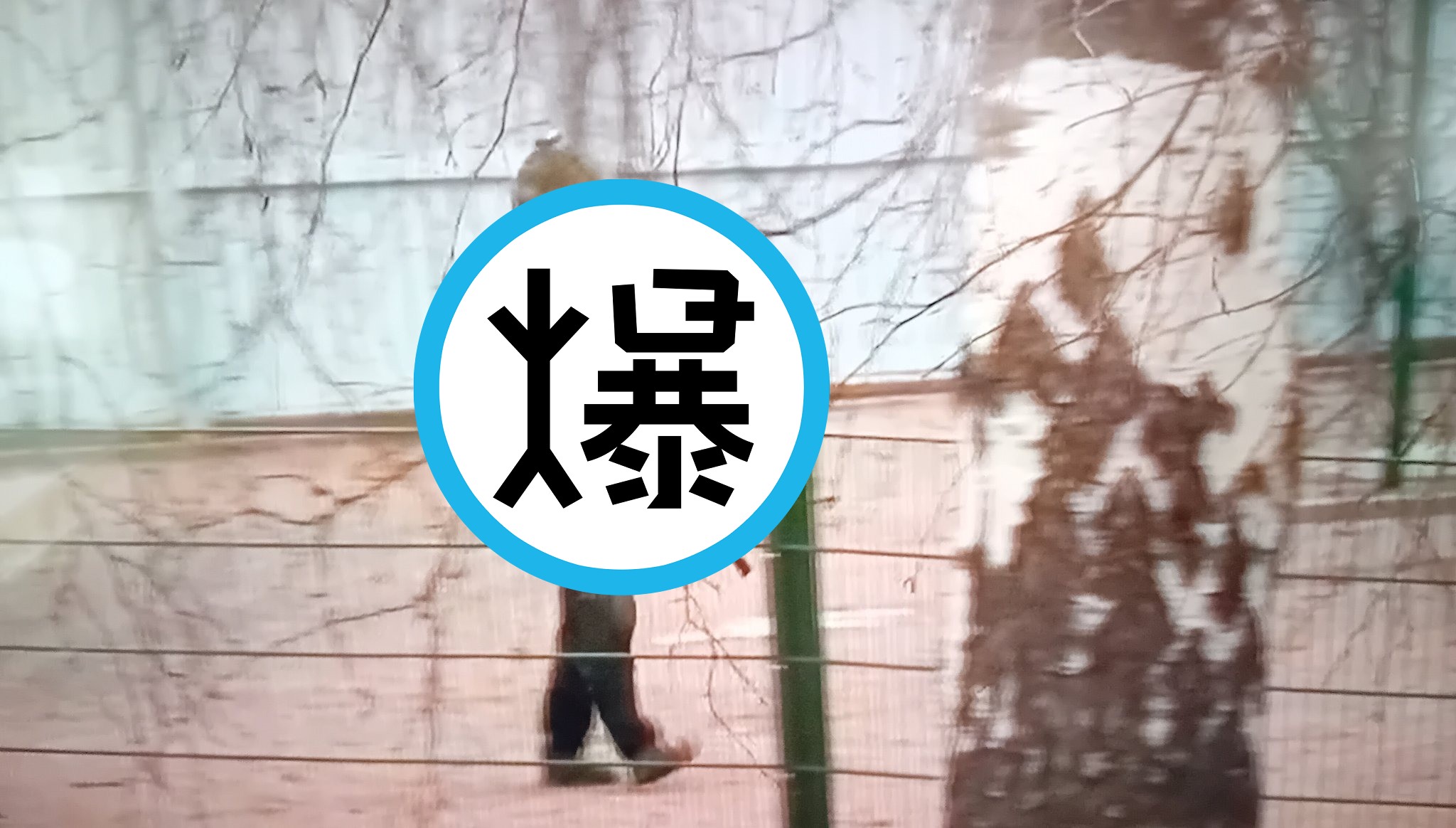 芬蘭爆校園槍擊，凶手真的只是個孩子！小六男全副武裝射傷3學生。（翻自X平台）