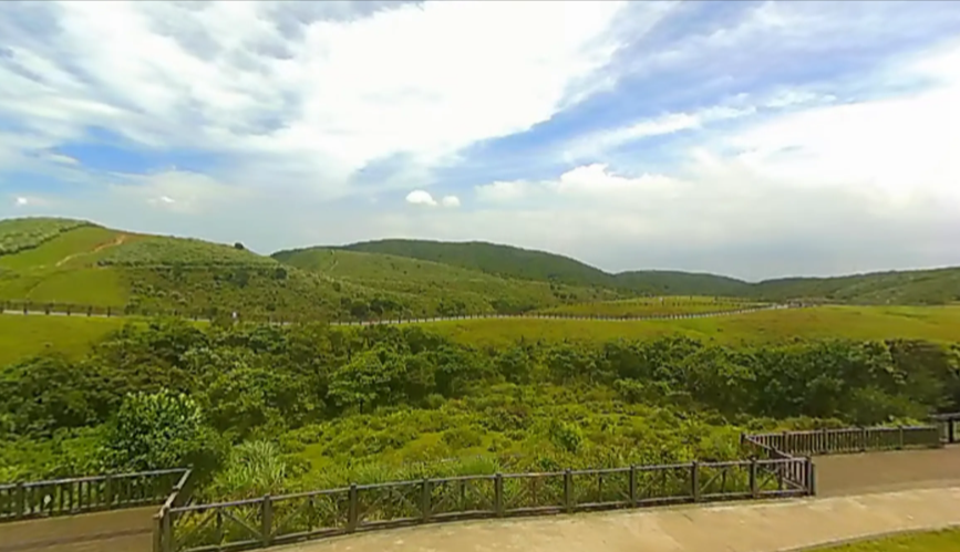 陽明山國家公園內多處知名景點的清潔工作由Y姓女子經營的清潔公司負責。(讀者提供)