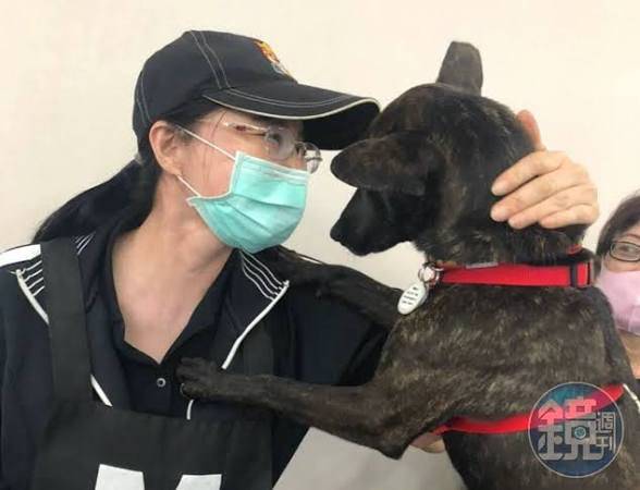 綠營桃園市議員候選人具名告發花蓮搜救犬Wilson死亡案,請求檢方針對Wilson真正死亡原因依法分案調查。圖中黑狗非Wilson。
