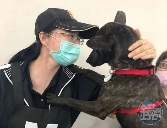 綠營桃園市議員候選人具名告發花蓮搜救犬Wilson死亡案，請求檢方針對Wilson真正死亡原因依法分案調查。圖中黑狗非Wilson。