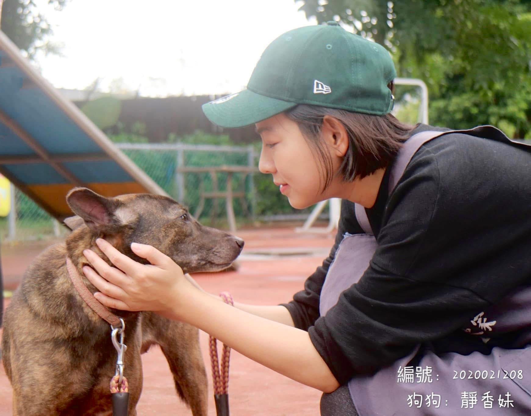 藝人米可白對小動物愛護有加。（非當事狗狗，翻攝自米可白臉書）