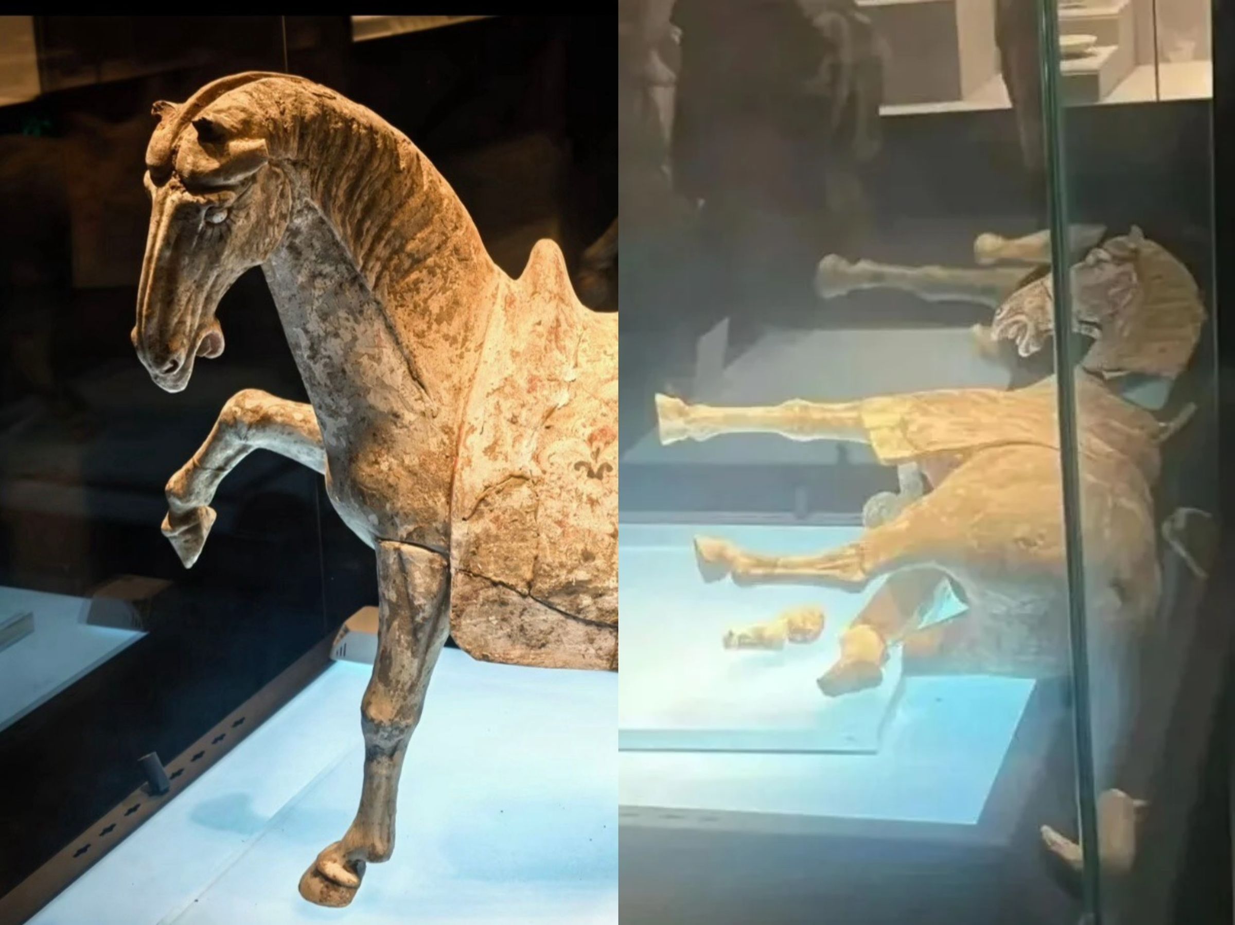 河南洛陽博物館近日傳出，一尊唐代彩繪貼金陶馬馬腿斷裂倒在展示櫃內。（翻攝自微博）