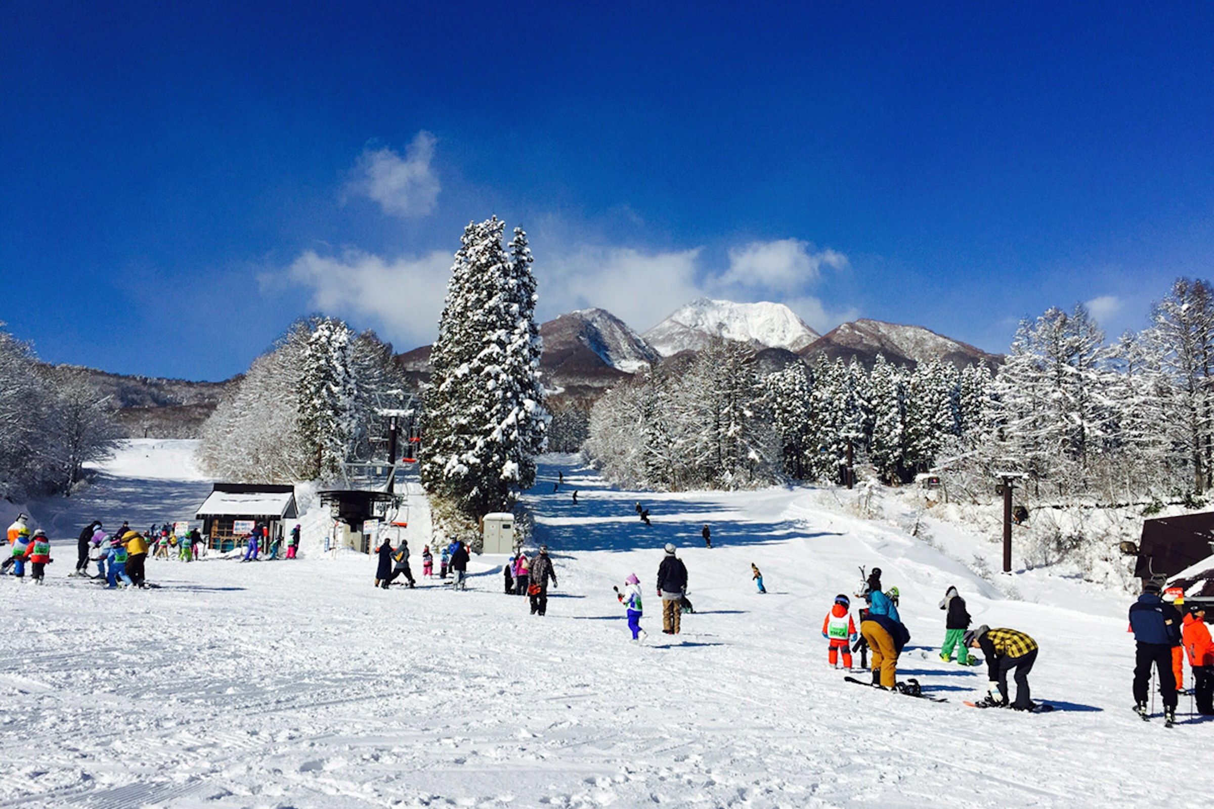 日本是台灣雪友最主要的海外滑雪目的地之一。(台灣滑雪協會提供)