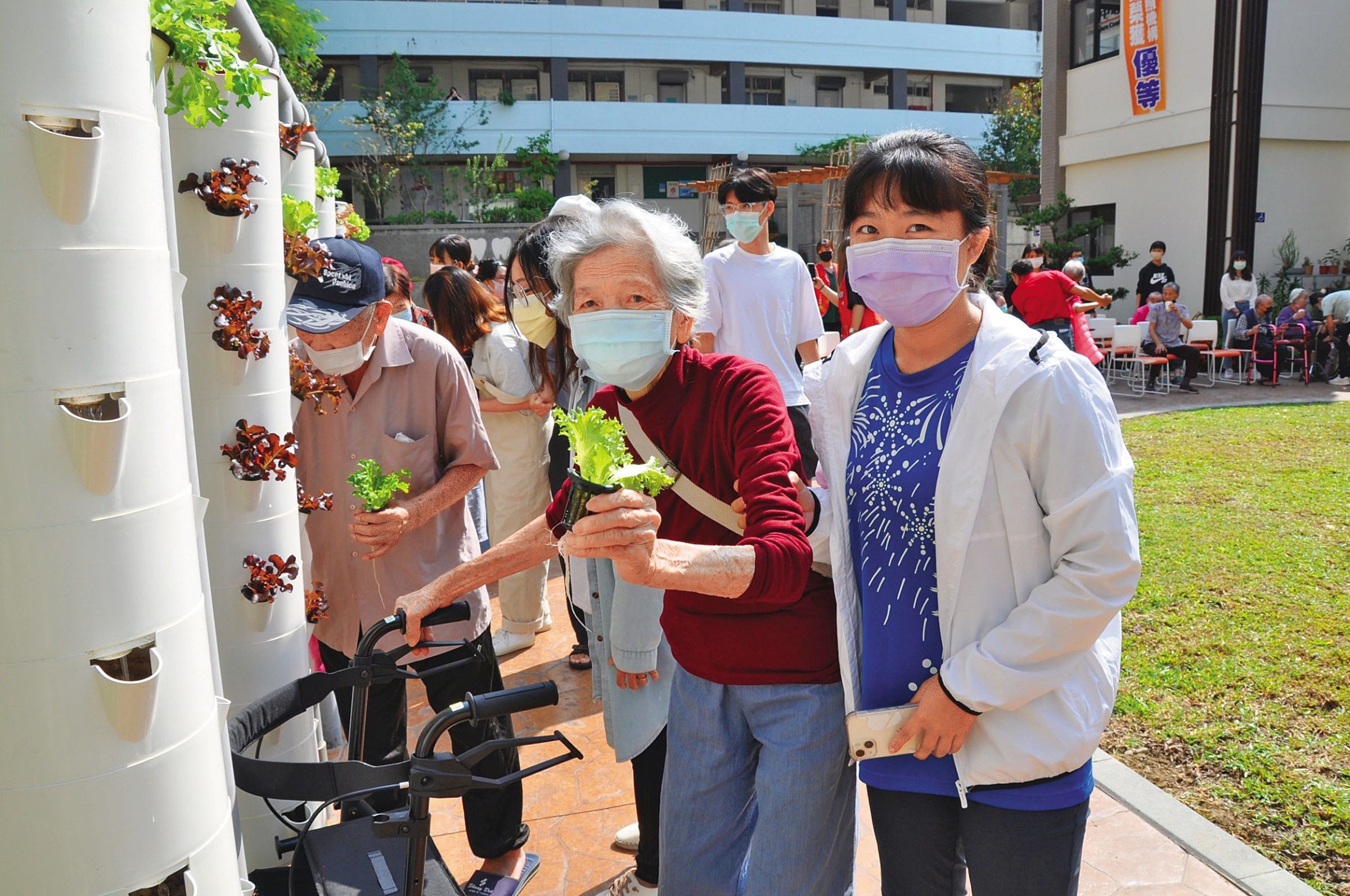 中臺科大利用校園戶外空間設置直立式水耕蔬菜架，高度配合行動不便長者，讓長輩種菜、澆水，把活動變成復能訓練。（中臺科技大學提供）
