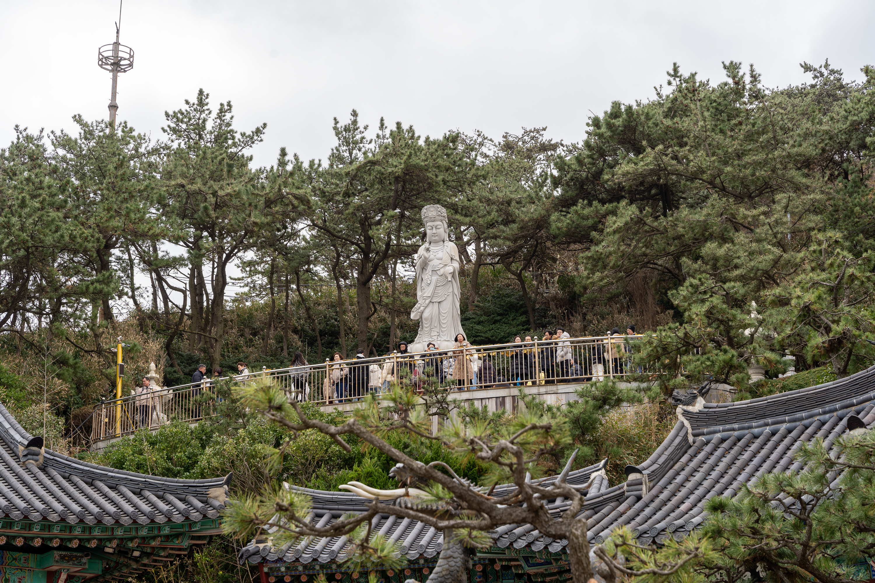 山坡上立著一尊觀音像。