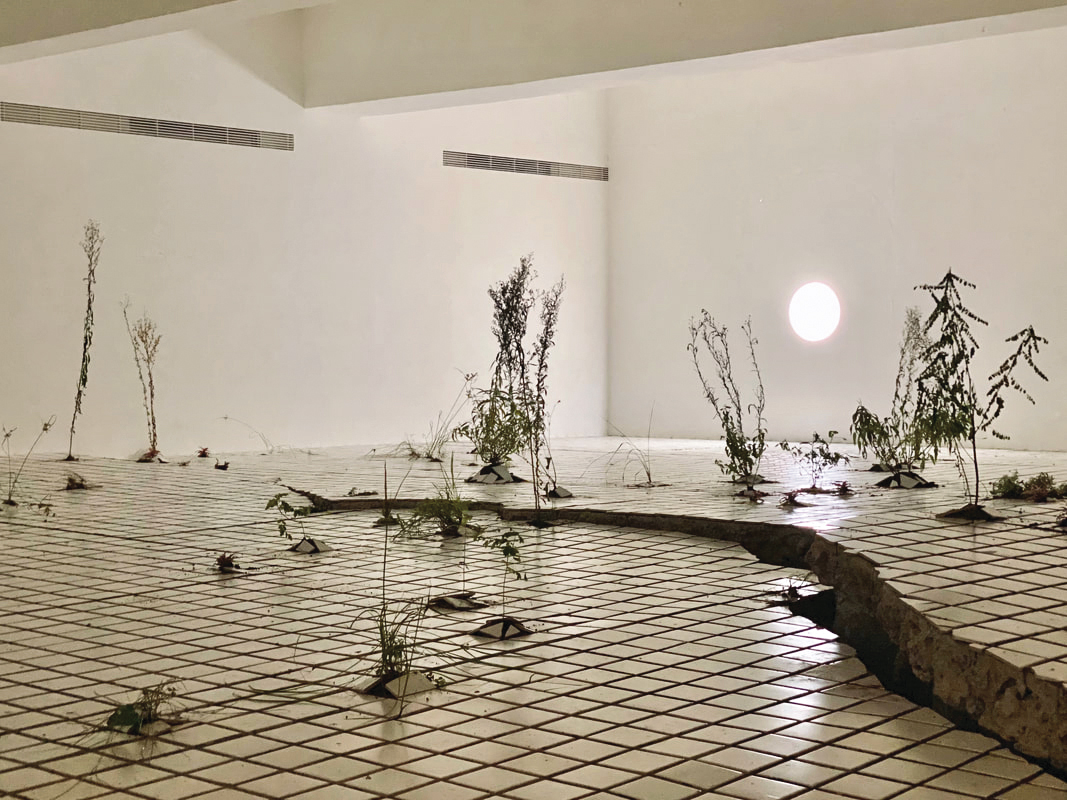 王煜松以2018年初的地震地景變化為靈感，創作《兩個福爾摩沙》裝置藝術，記錄了花蓮的傷痕。（王煜松提供）