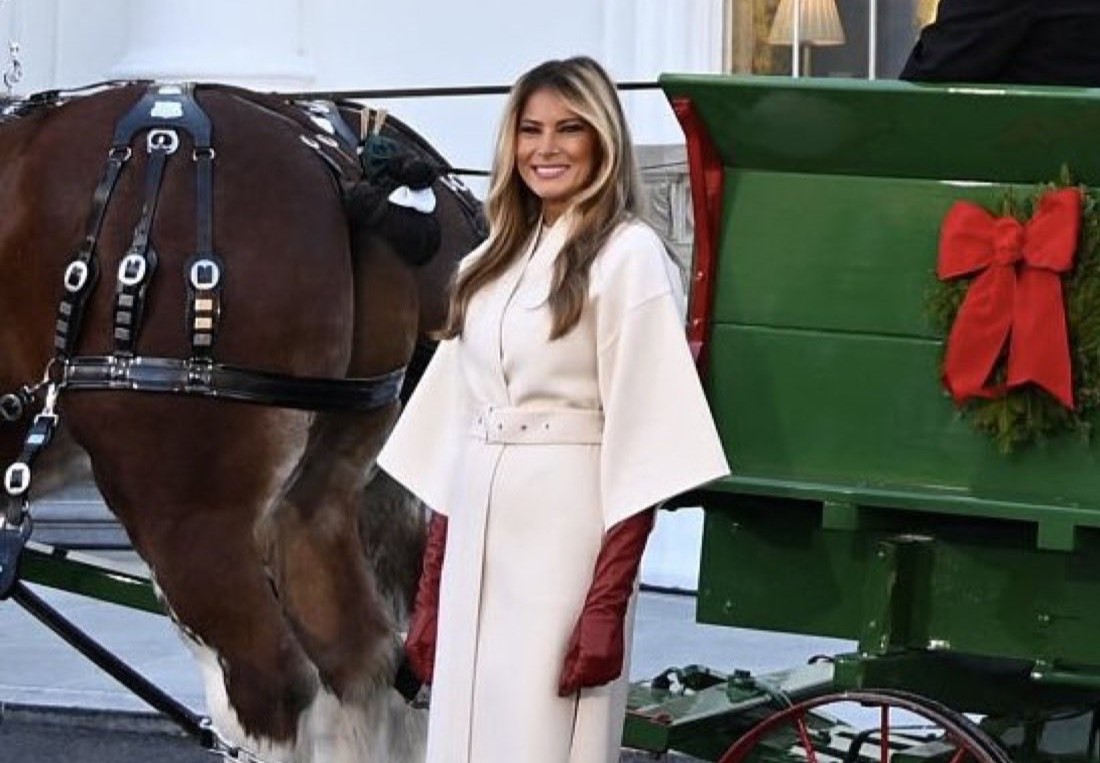 梅蘭妮亞親自迎接今年的白宮耶誕樹。（翻攝X@MAGAVoice）