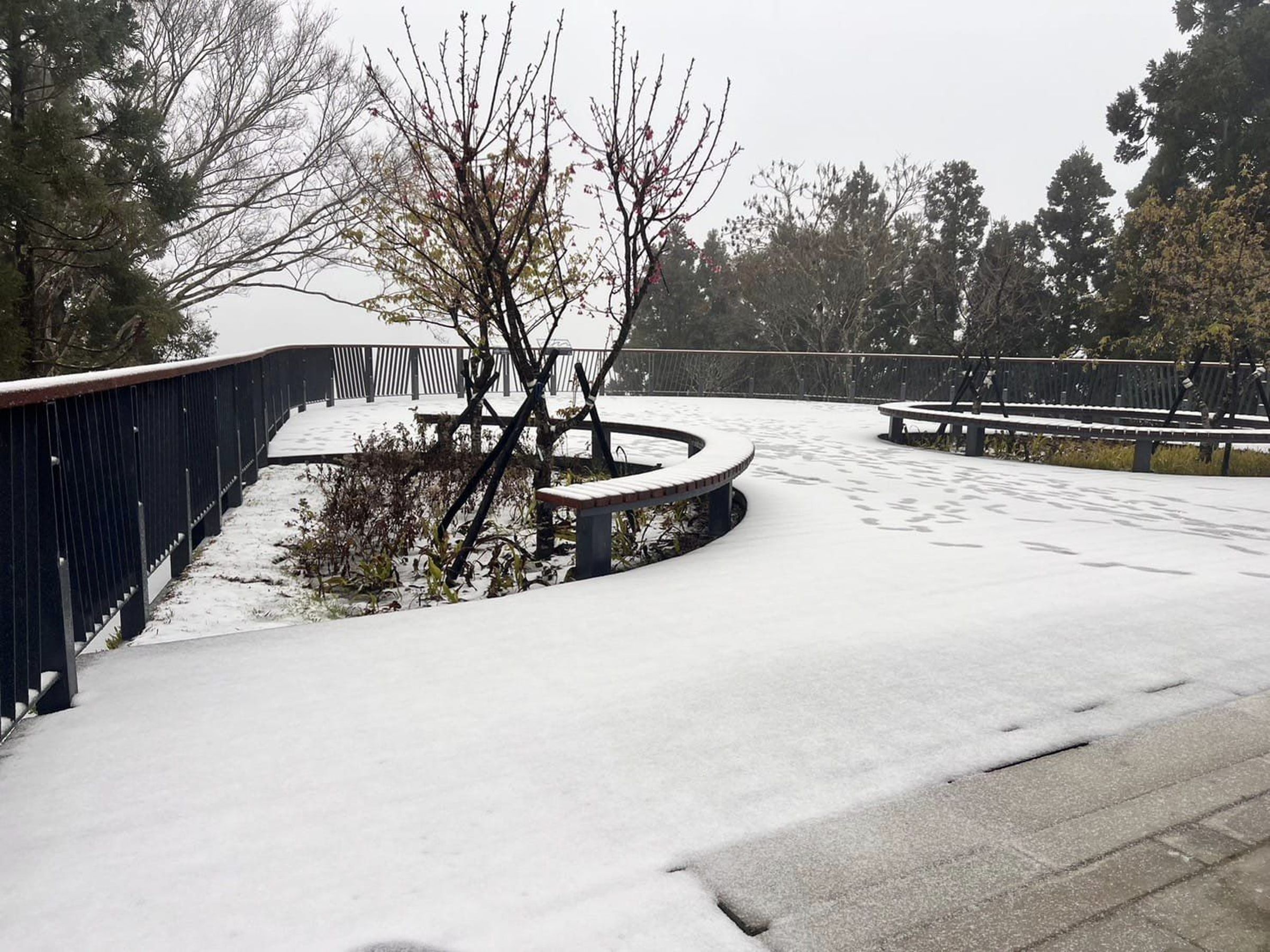 桃園市復興區今晨開始飄雪,後山三里緊急宣布停班停課一天。(翻攝自蘇佐璽臉書)