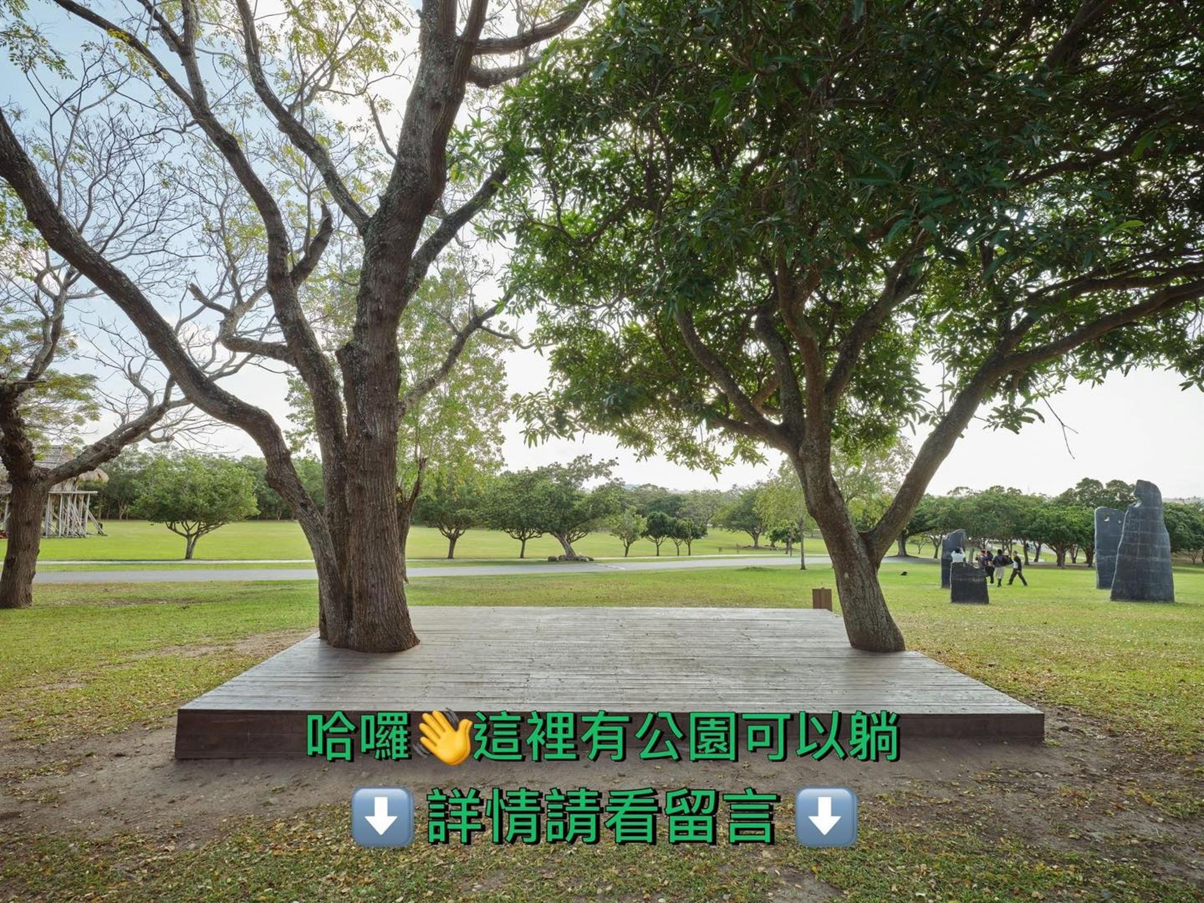 國立台灣史前文化博物館小編發文，「股市受災戶，相約公園見」，讓網友哭笑不得。（翻攝自臉書）