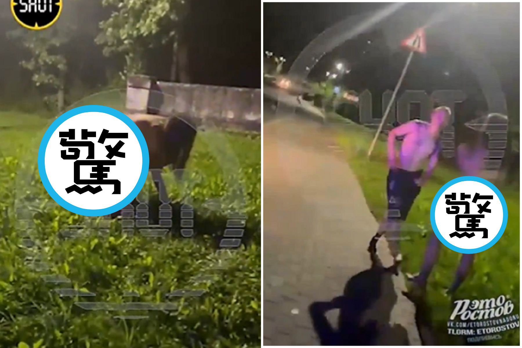 比AV還瘋狂！裸女堅持野地硬上男生，警方在旁觀看無可奈何。（翻自Reddit）