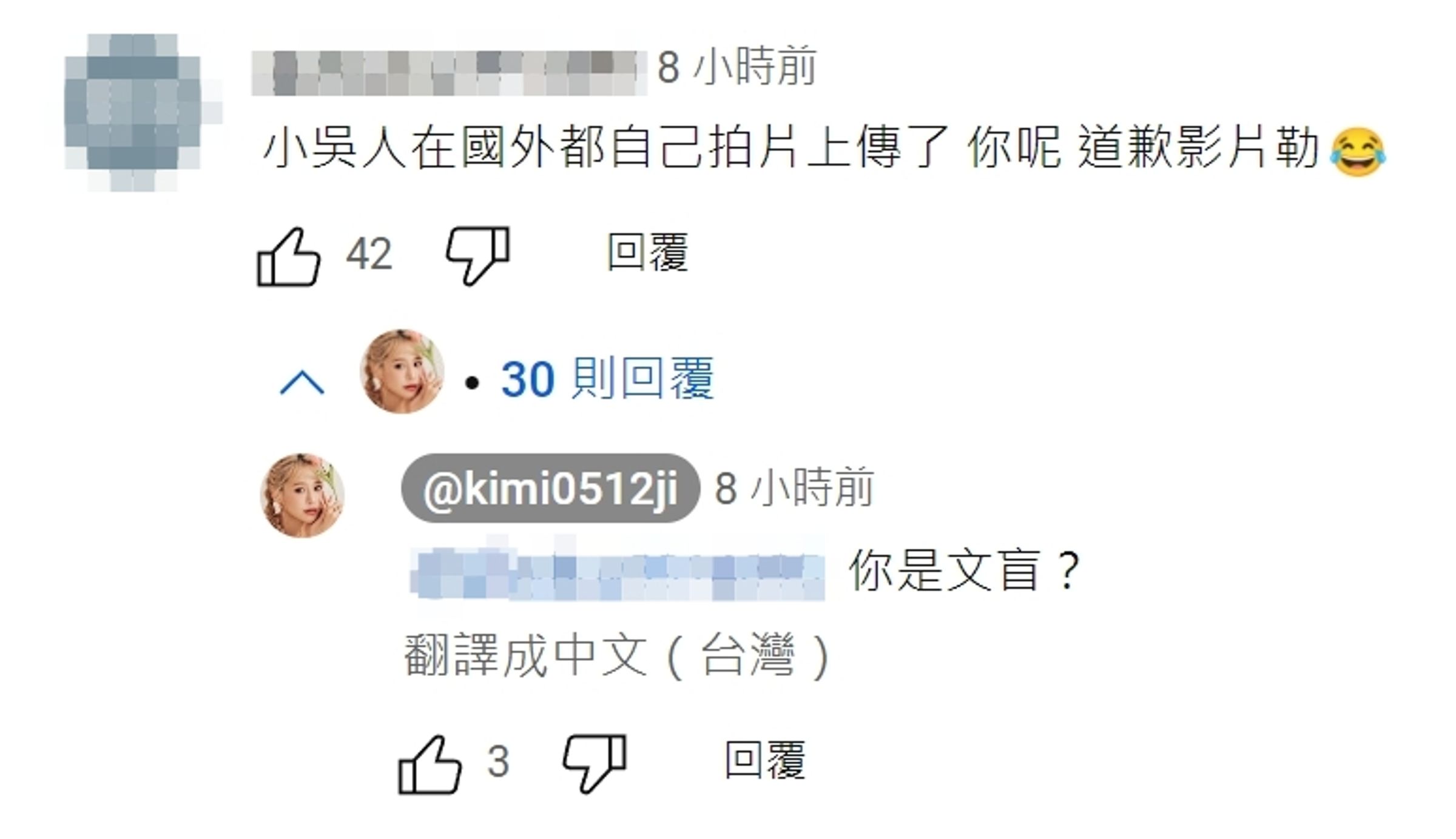 紀卜心竟在留言區回嗆網友「文盲」。（翻攝自紀卜心YT頻道）