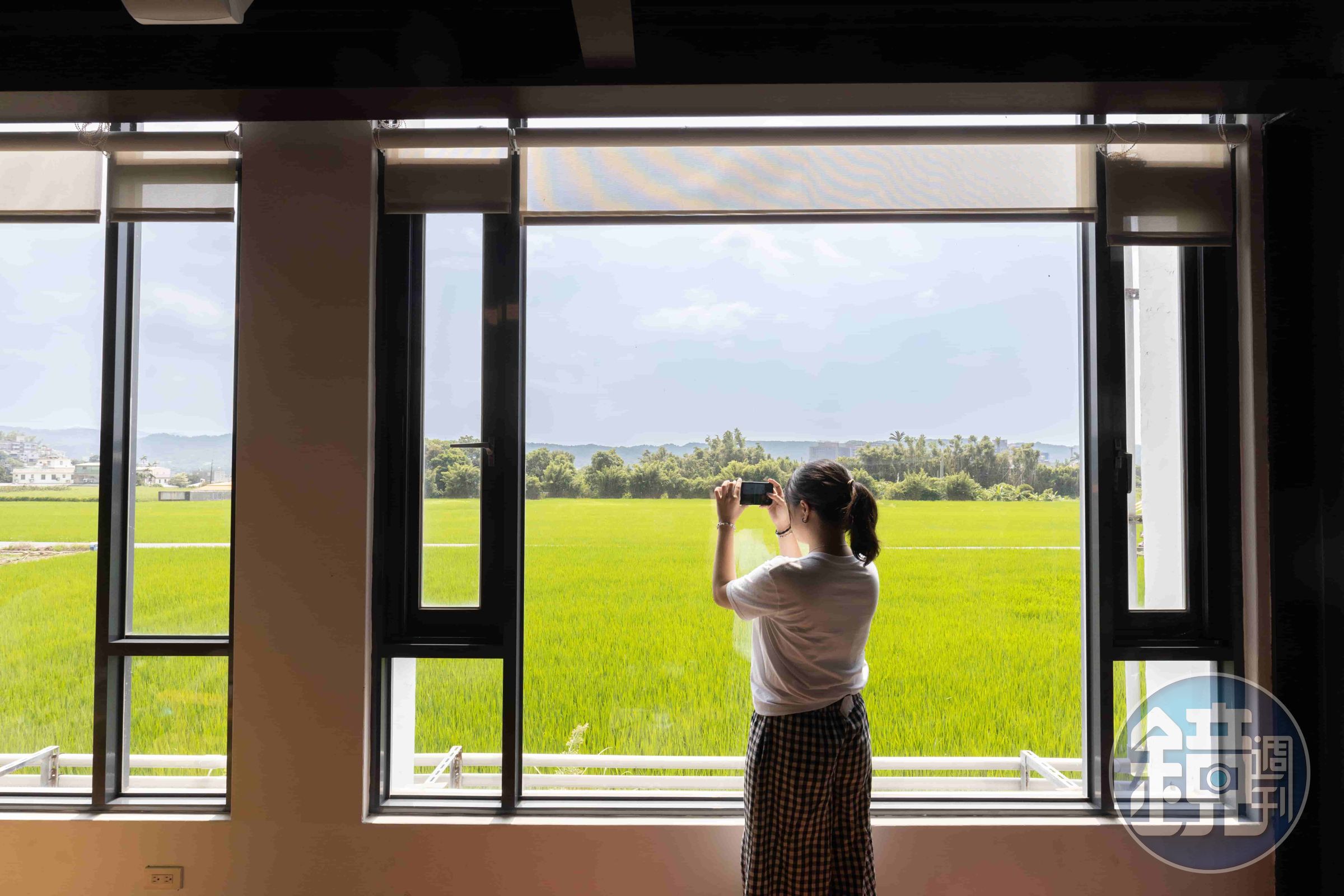 「新埔鎮農會咖啡廳」採光極佳,一踏入就能從落地窗看見大片稻田美景。