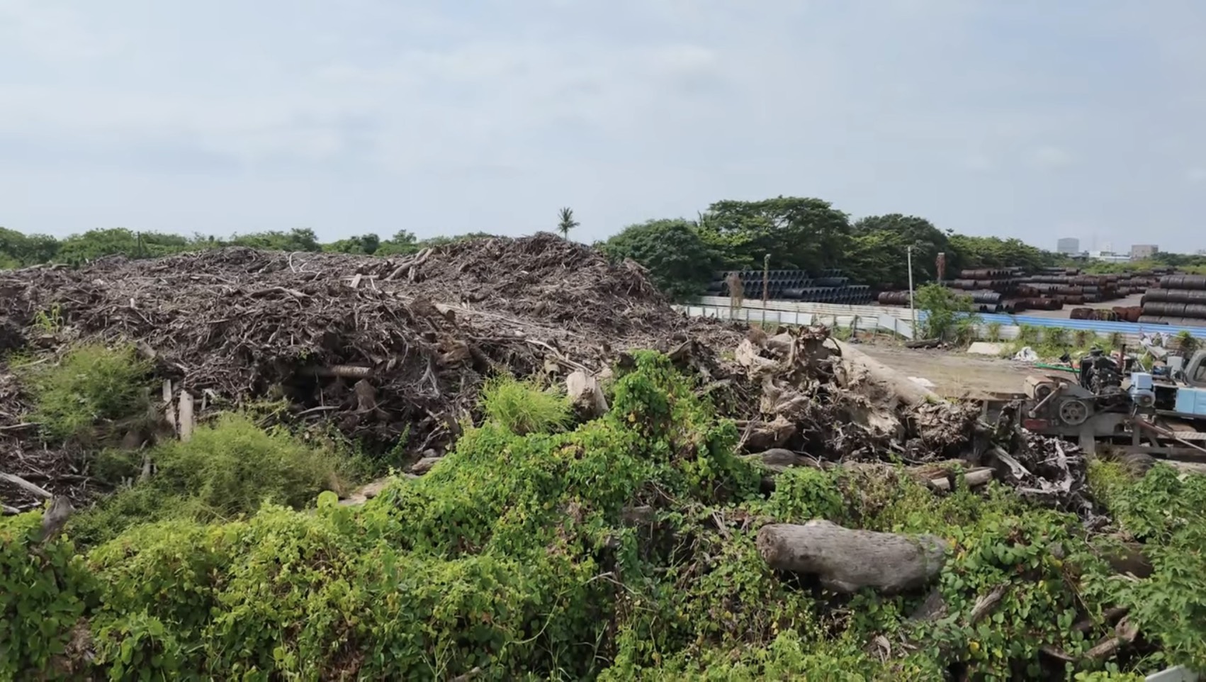 永安「廢材山」雜草叢生，近日更傳出悶燒狀況。（柯志恩競選團隊提供）