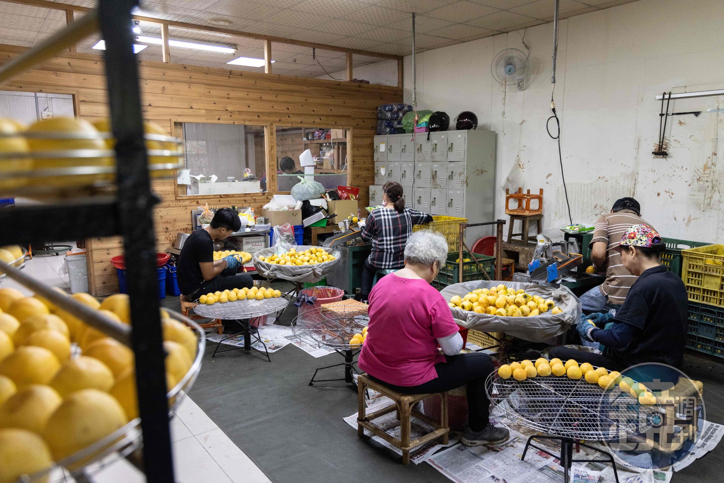 柿餅製作的前置作業，可以透過半開放的工作空間一目了然。