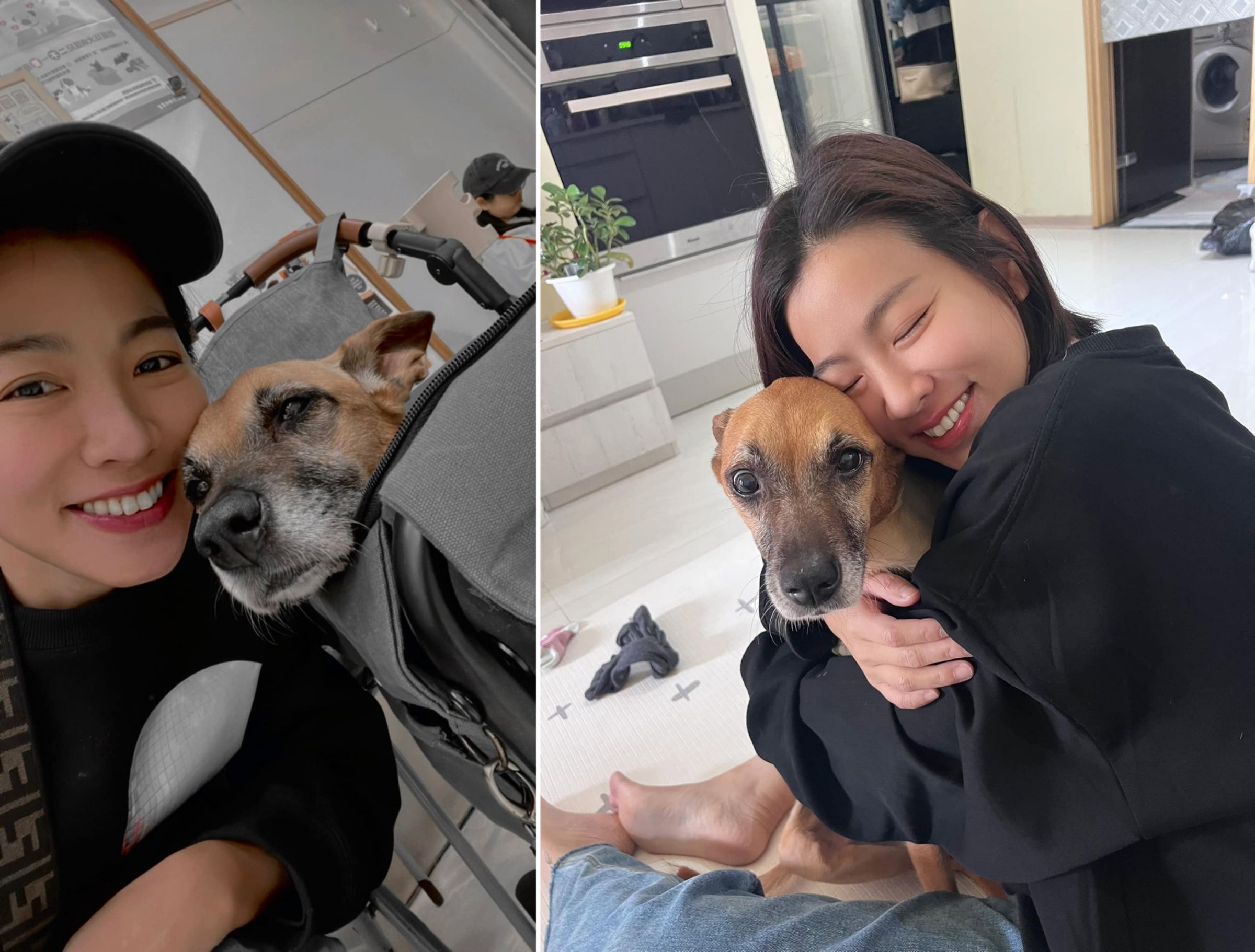 米可白的愛犬錢錢得了胃癌,把錢錢接回安寧的她很多感觸。(翻攝自臉書)