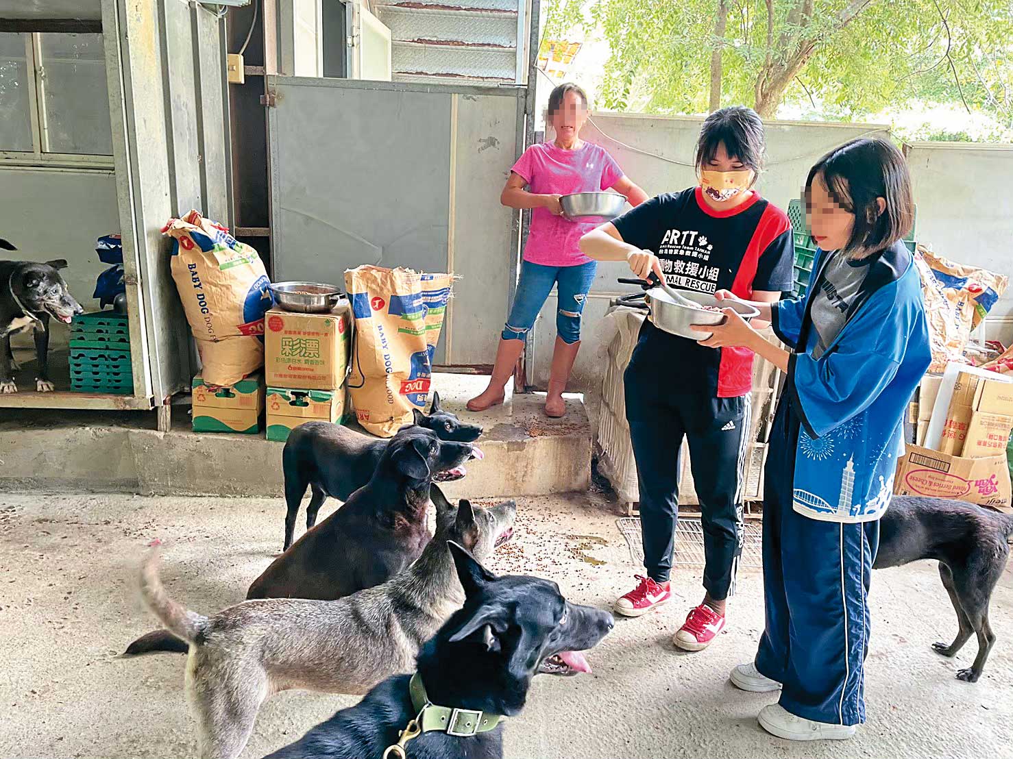 情趣夢天堂曾與台灣動物緊急救援小組進行公益合作，捐贈狗糧，並到狗園幫忙餵食打掃。（情趣夢天堂提供）