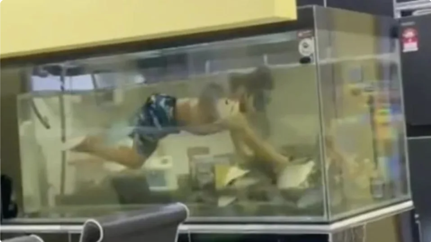 一位父親允許兒子在家裡的大魚缸裡跟寵物魚共遊，影片發出引發熱議。（翻攝自「superwanvr46」TikTok）