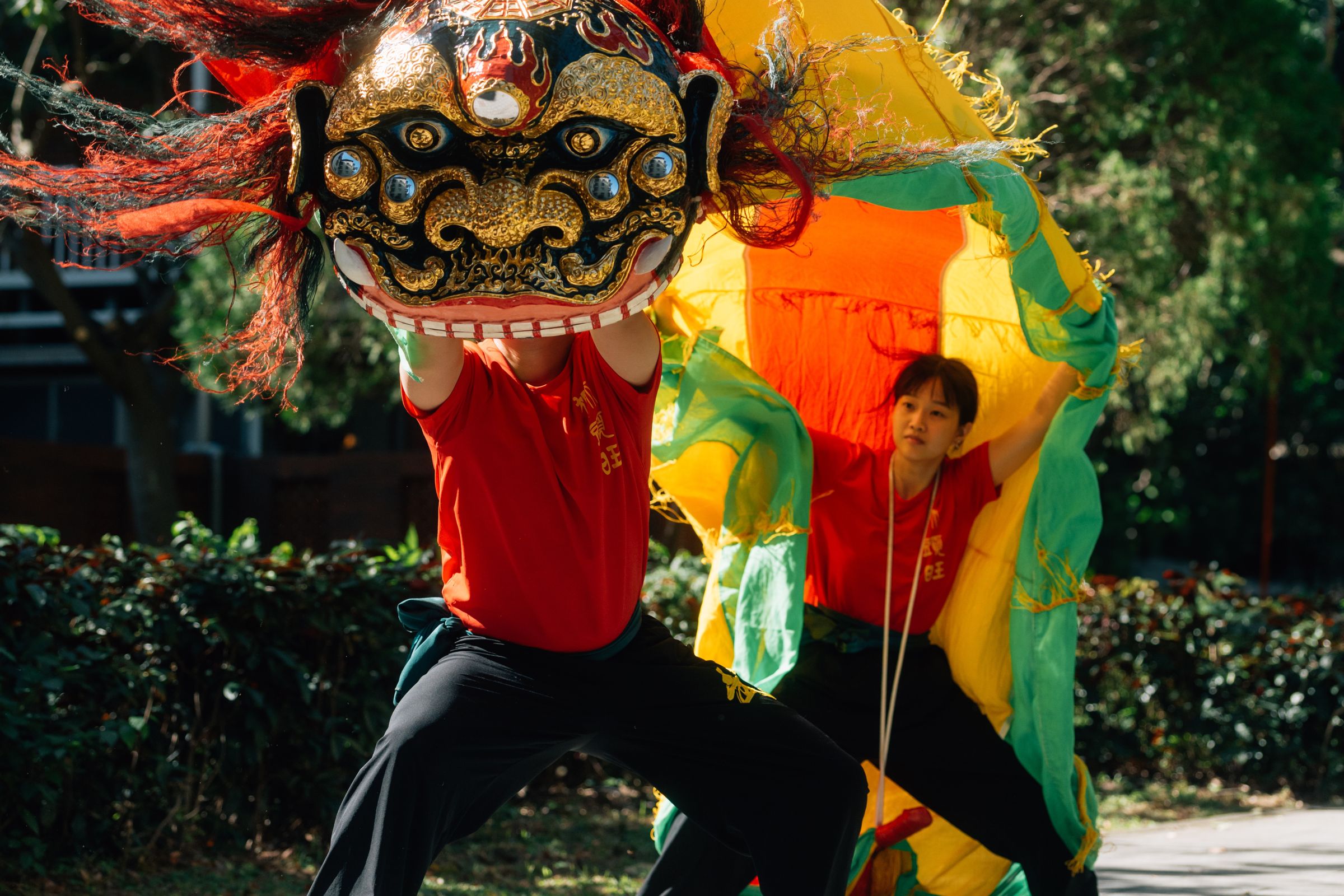 獅頭旺劇團結合武藝與舞法，靈活擺動獅頭與獅身。
