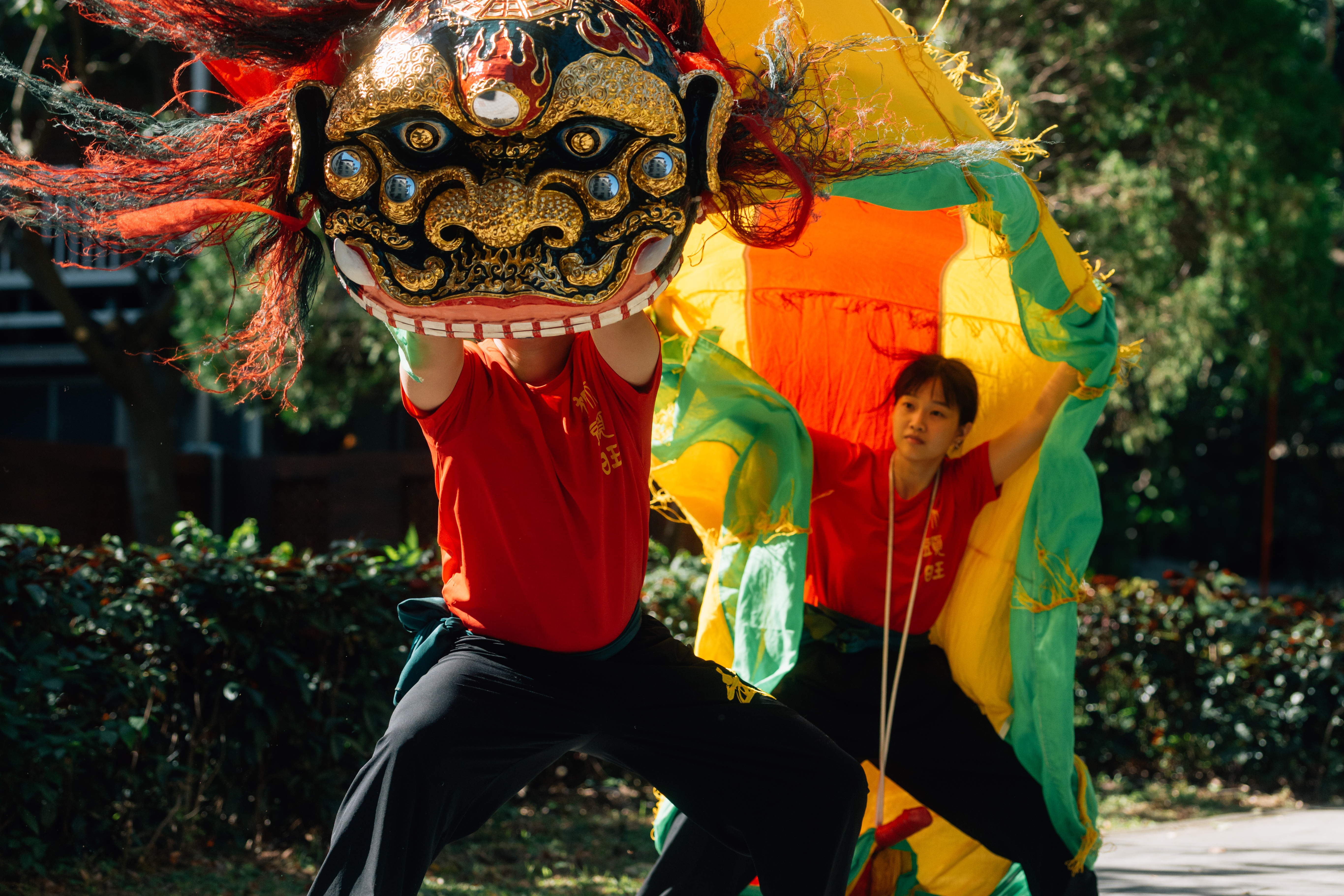 獅頭旺劇團結合武藝與舞法，靈活擺動獅頭與獅身。
