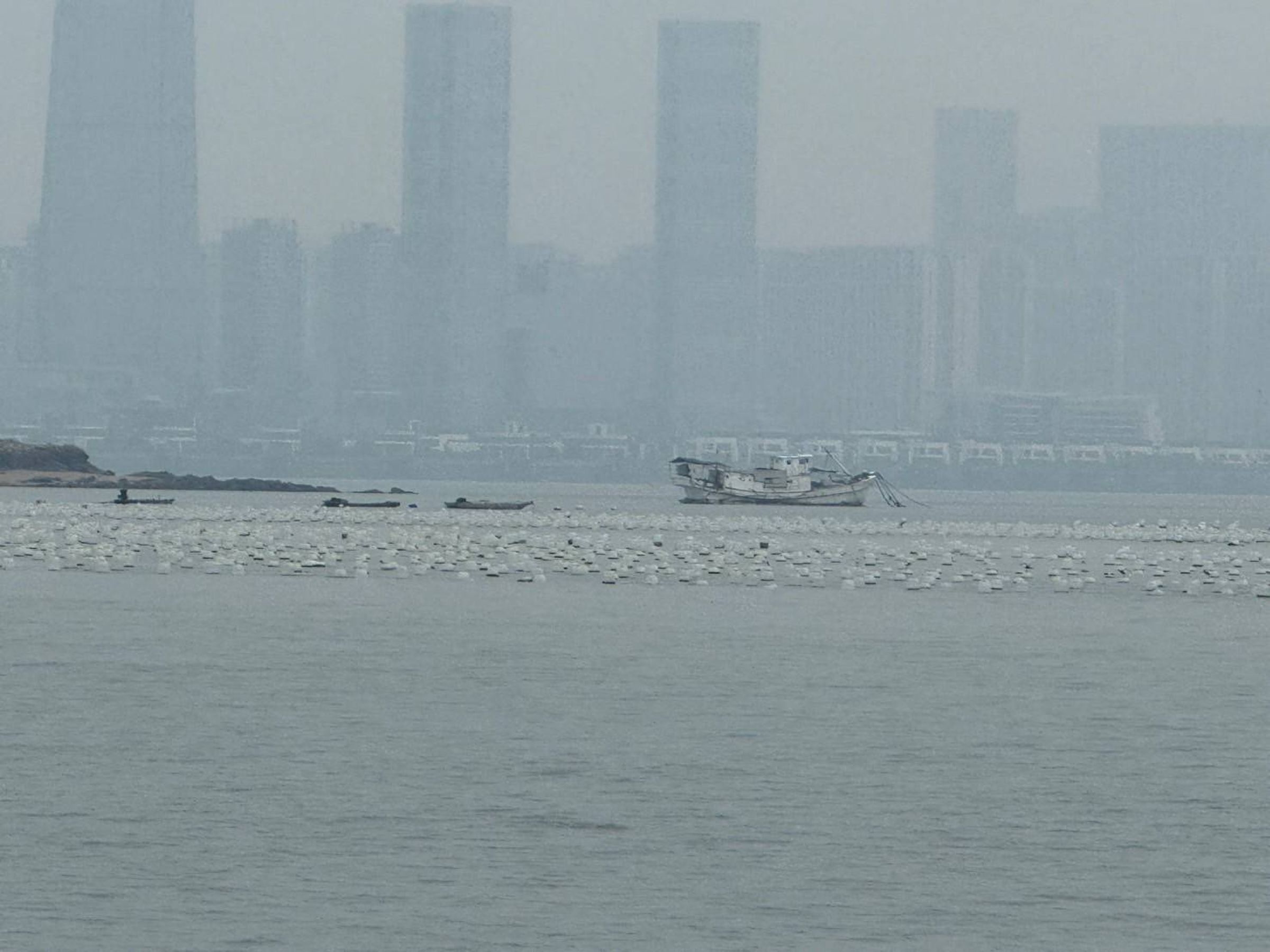 金門產發處強調,若由縣政府查拆違法蚵架,所需經費龐大,非地方財政所能承擔。(金門產發處提供)
