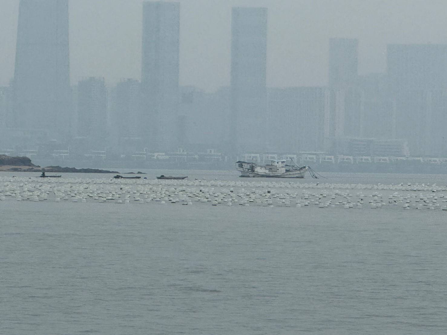 金門產發處強調，若由縣政府查拆違法蚵架，所需經費龐大，非地方財政所能承擔。（金門產發處提供）