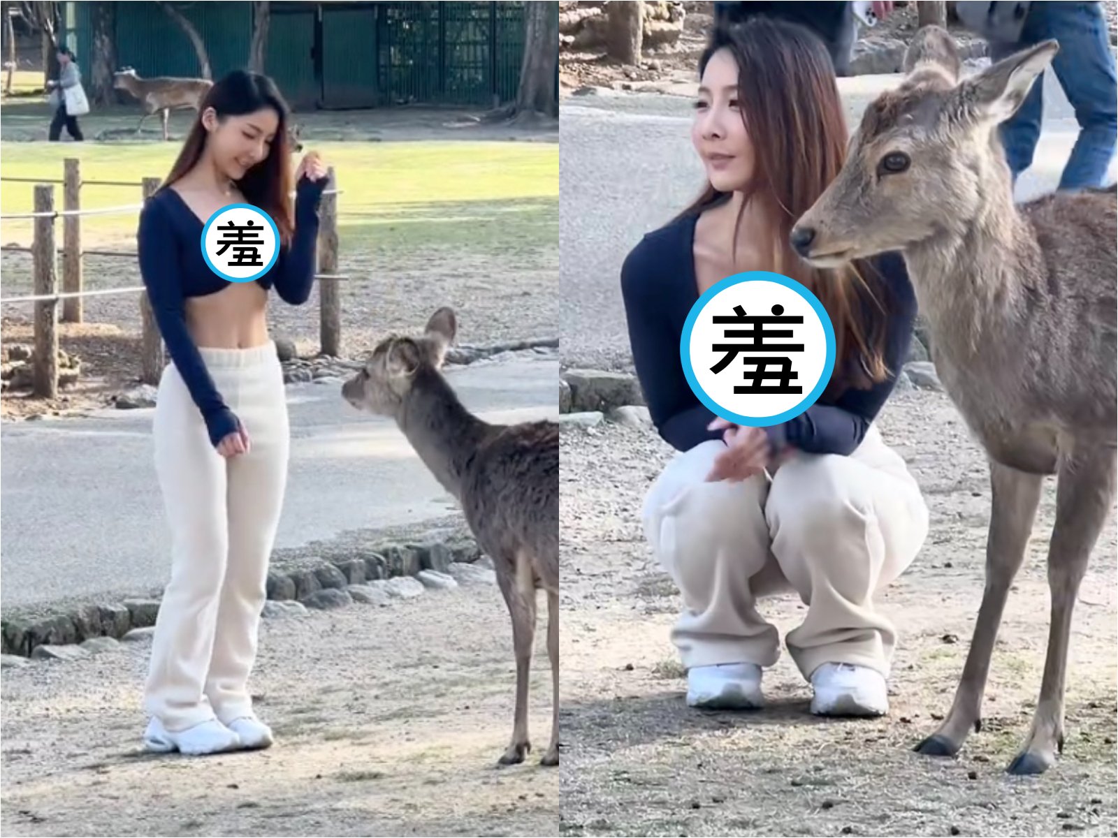一名女遊客與奈良公園的鹿溫柔互動的影片，因身材太火辣，瞬間在網路上掀起熱議。（翻攝自TikTok@naraparkdeer）