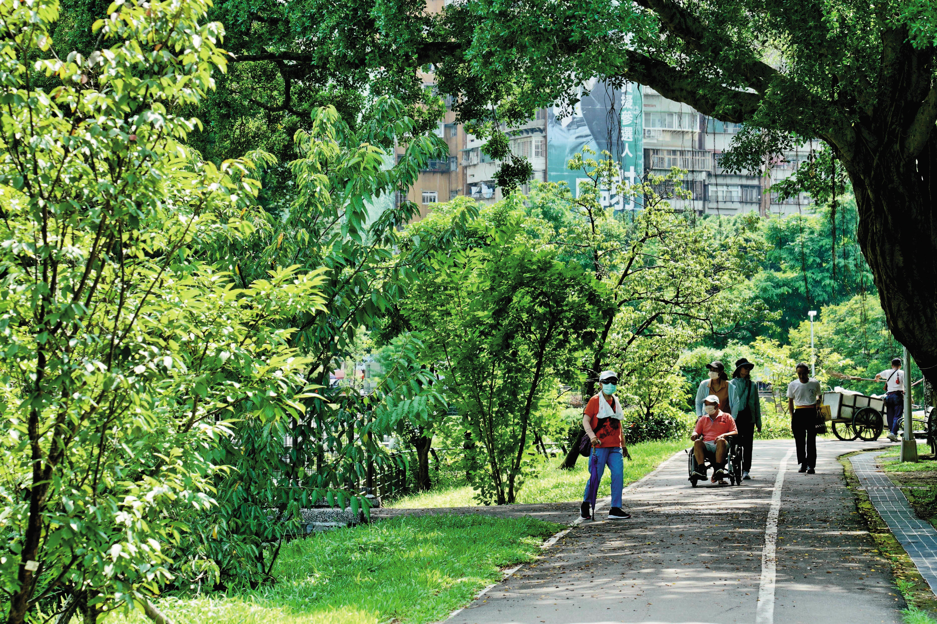 永久綠地像是居住在綠肺呼吸的環境，青年公園占地24公頃，房價比新北蛋黃區實惠。