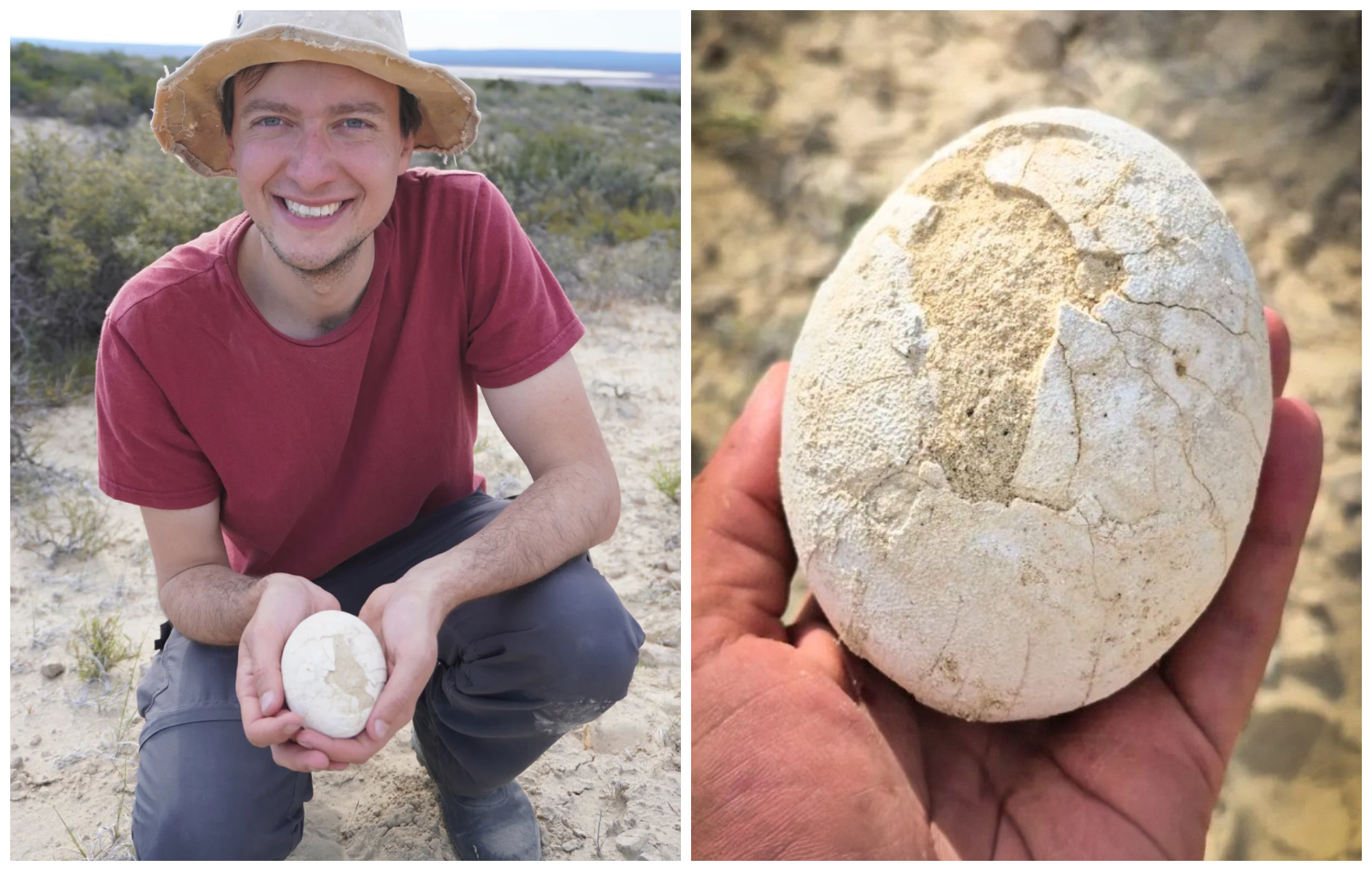 考古團隊中的Matias Motta博士捧著這顆漂亮的龍蛋。（翻攝_matiasmotta IG、federico.agnolin IG）