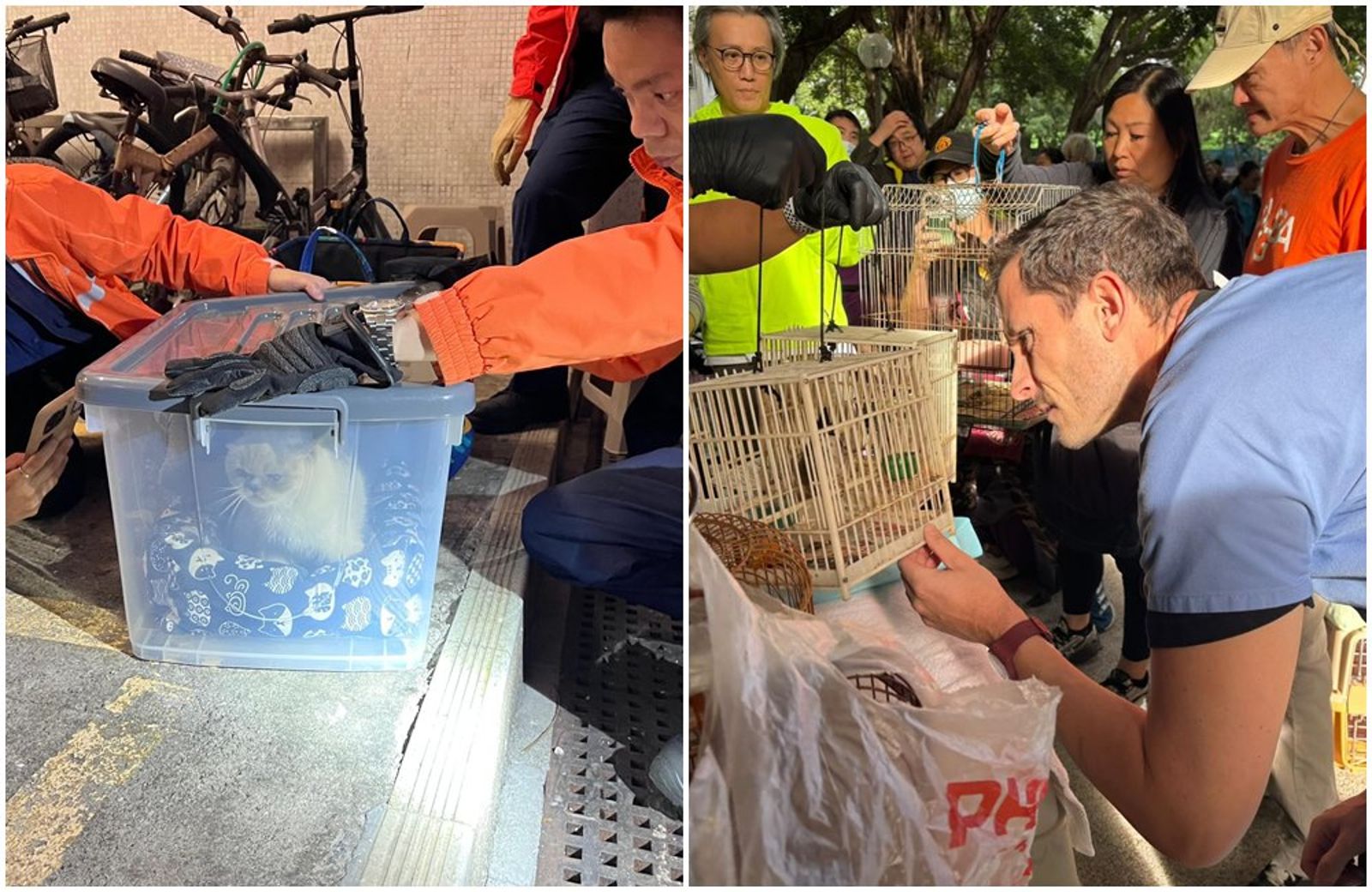 香港大火／243隻動物受困火海！92隻被救出　飼主哭著守夜等奇蹟