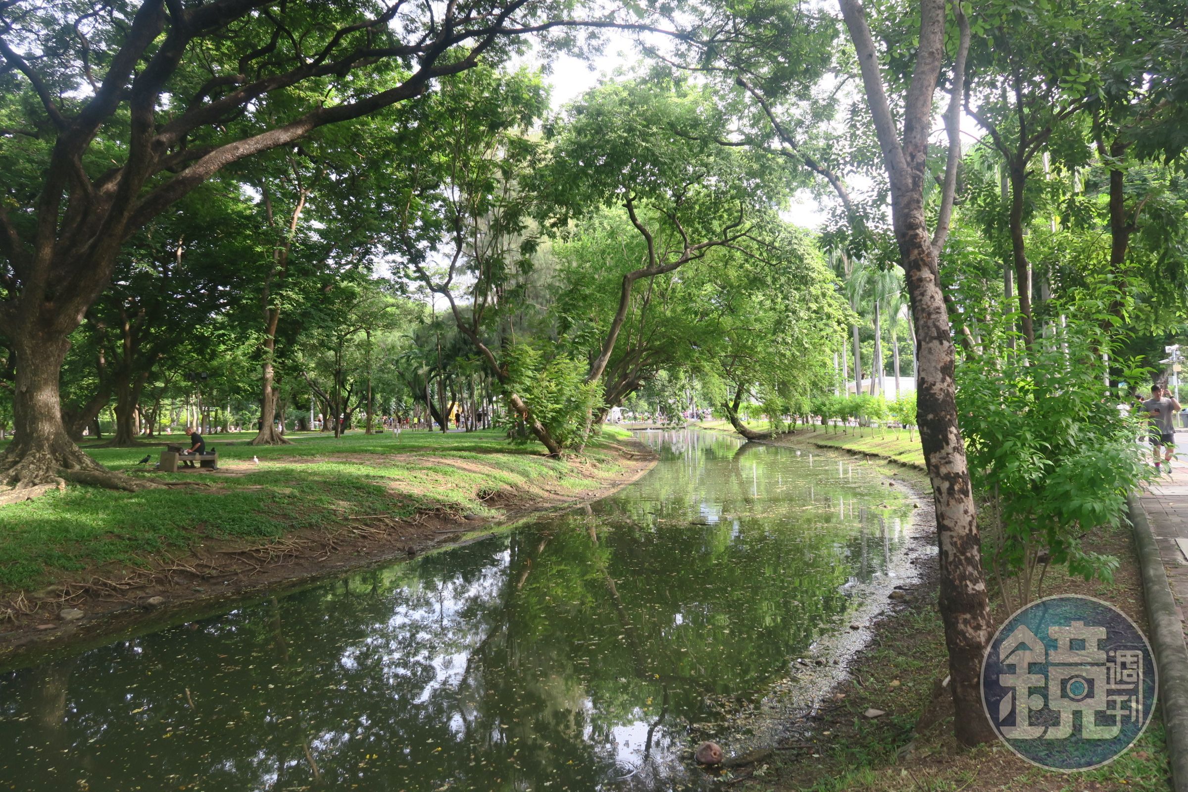 公園中綠蔭處處，十分清涼。