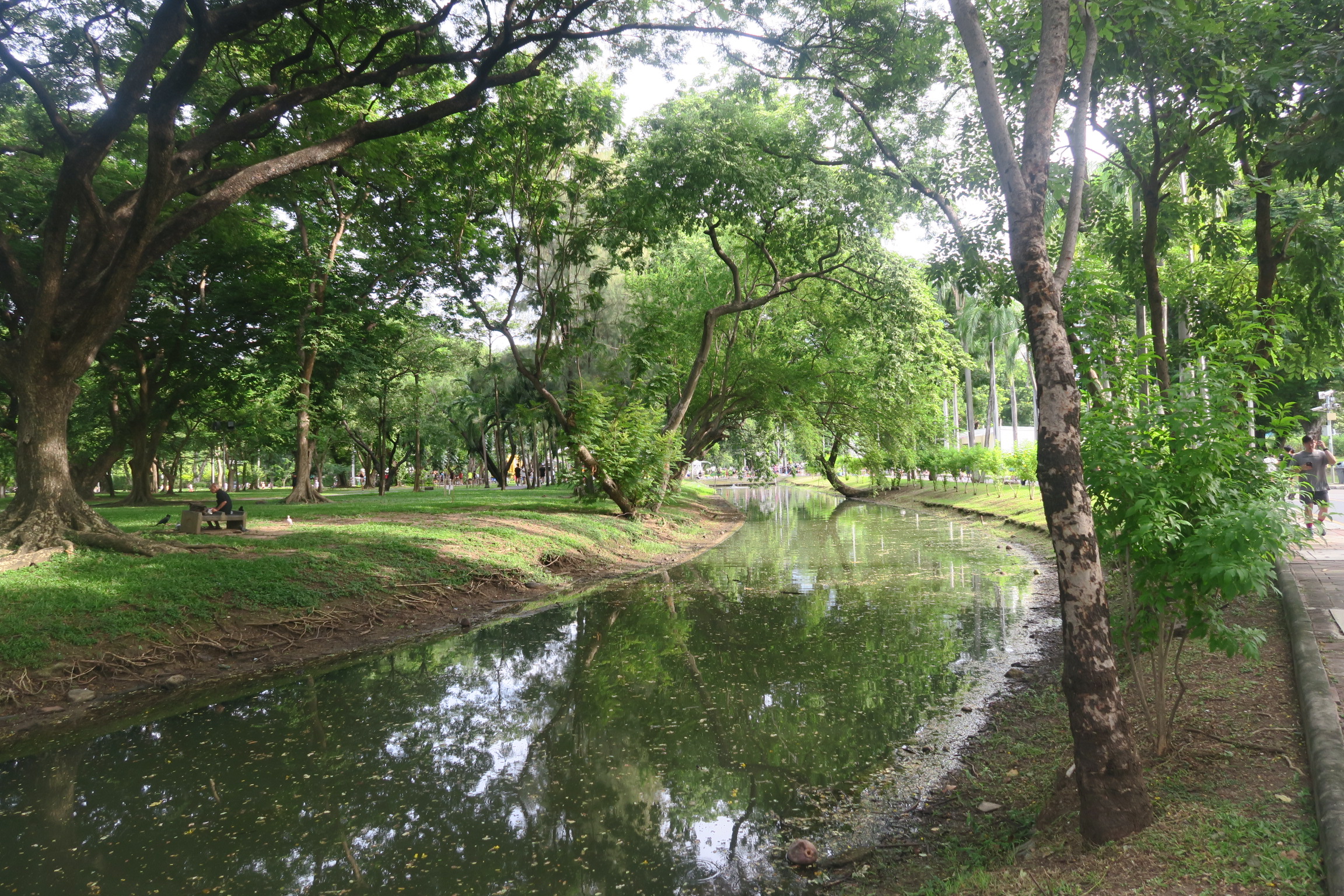 公園中綠蔭處處，十分清涼。