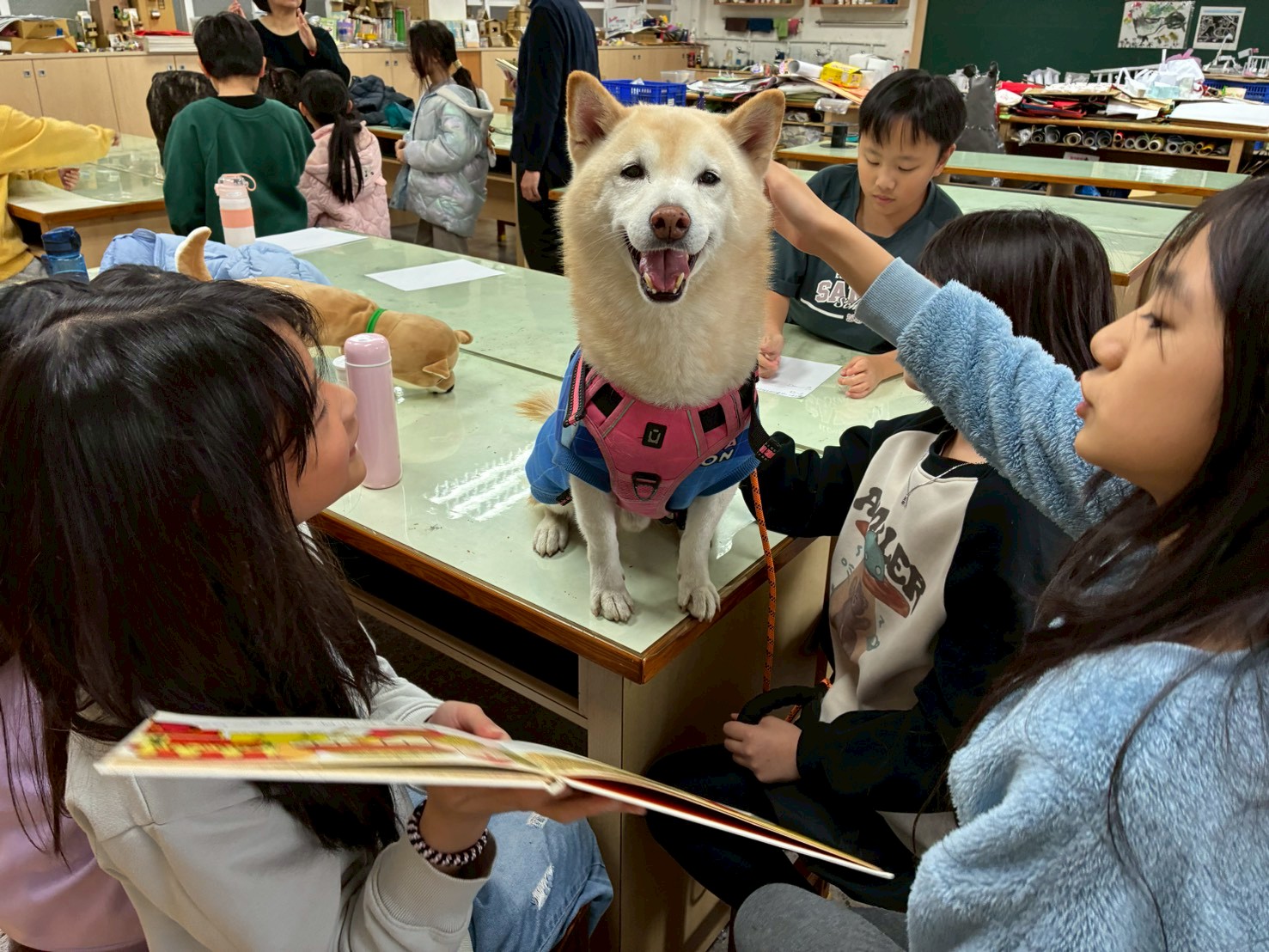 三玉國小推動的「說故事給狗聽」計畫,讓一群小朋友圍著狗狗,七嘴八舌地說故事給狗聽。(信義房屋提供)
