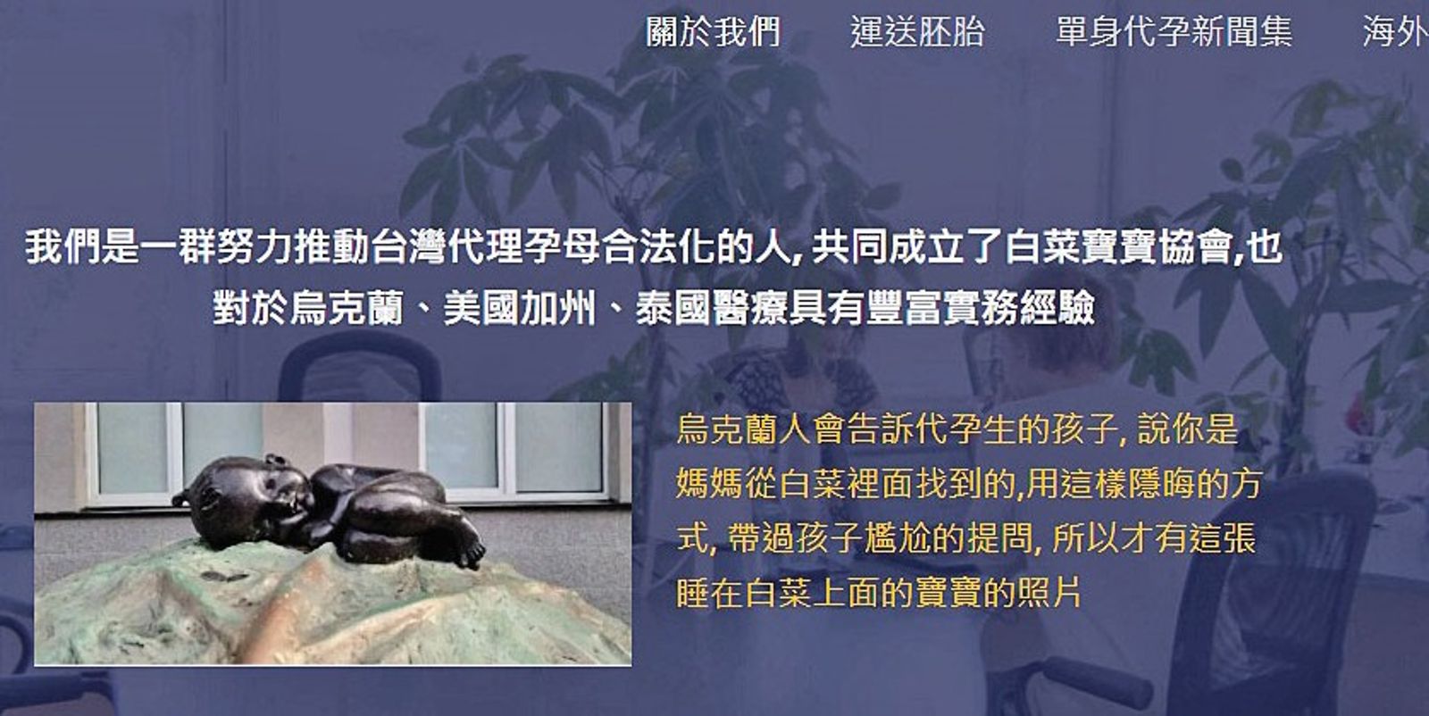 吳素慧後來成立「白菜寶寶協會」,宣稱要推動代理孕母合法化,並且提供代辦諮詢服務。(翻攝白菜寶寶協會官網)