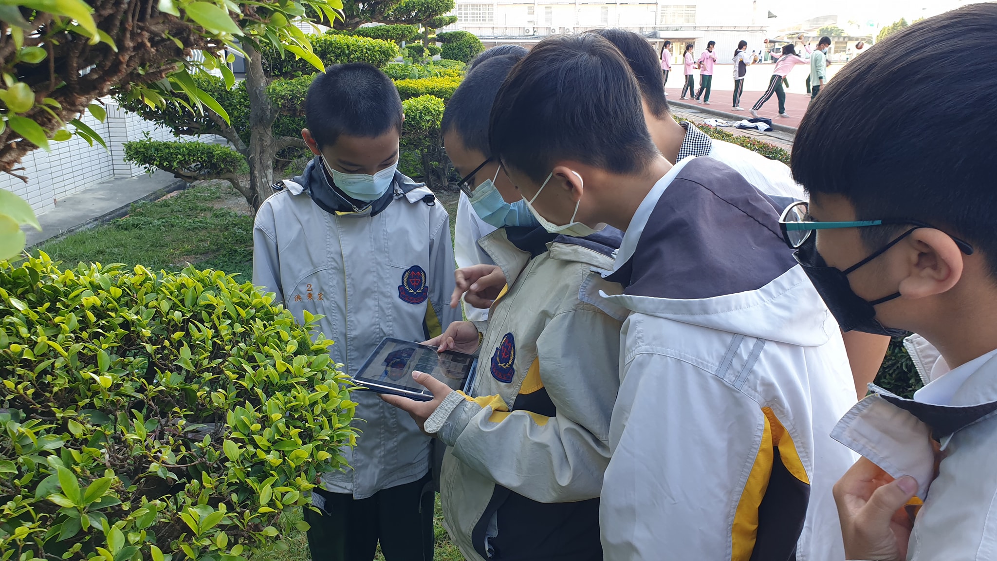 在戶外進行的童軍課，竹塘國中的學生能利用iPad與Google智慧鏡頭辨識校園植物。